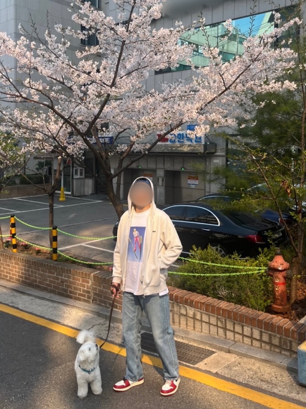 Jordan 1 x Union Retro High OG Chicago Shadow, Palace Lift Off T-Shirt White - 23FW 착용 스타일
