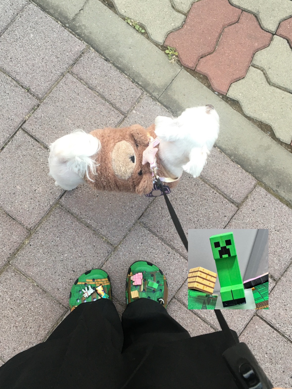 Crocs x Minecraft Classic Clog Multi 착용 스타일