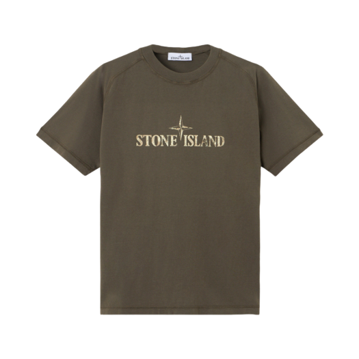 Stone Island 2100020 Organic Cotton Jersey Slim Fit T-Shirt with Institutional Two Print Military Green - 25SS