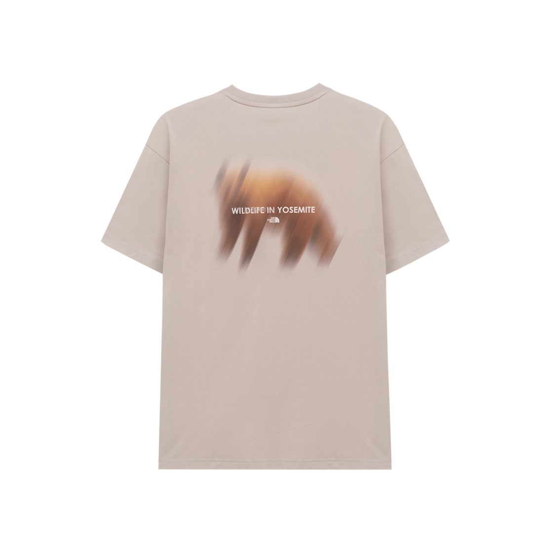 노스페이스 베어 스프레이 숏슬리브 라운드 티셔츠 화이트 샌드 - 25SS(The North Face Bear Spray S/S Round T-Shirt White Sand - 25SS) - 2