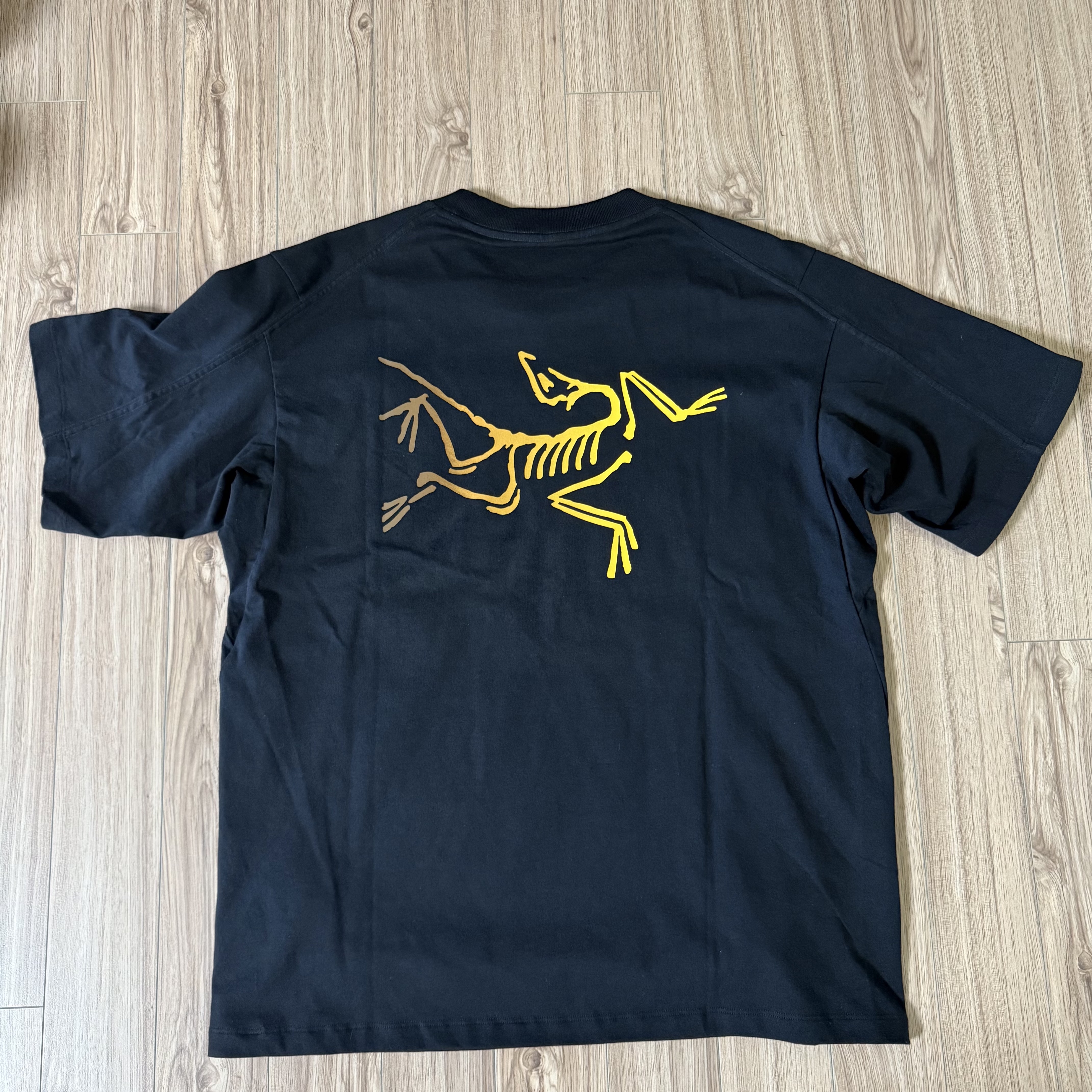 Arc'teryx Kragg Cotton Logo SS T-Shirt 24K Black 착용 스타일