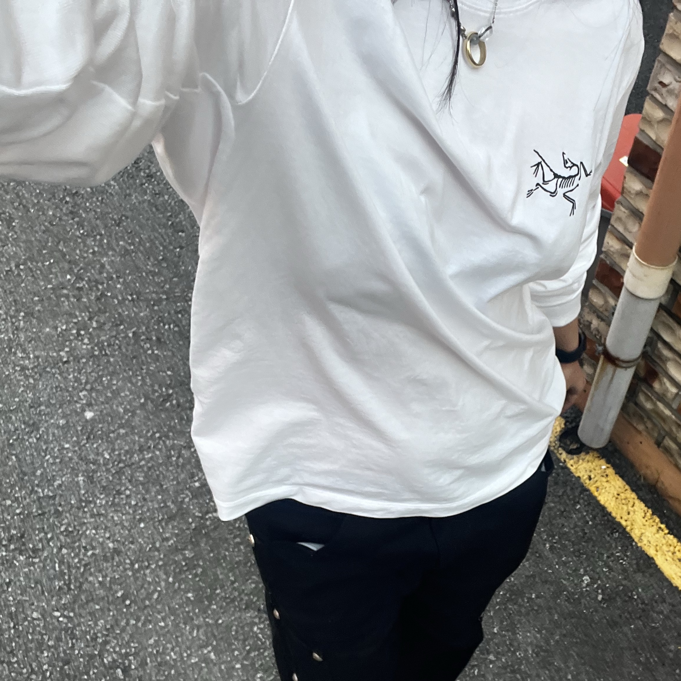 Arc'teryx Arc'Multi Bird Logo LS T-Shirt White Light 착용 스타일 - 2