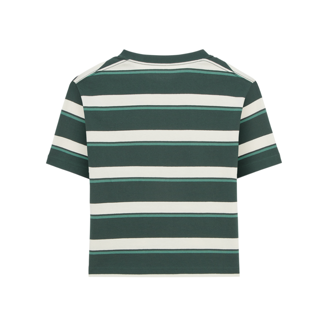 노스페이스 듀로 스트라이프 숏슬리브 라운드 티셔츠 클래식 그린 - 25SS(The North Face Duro Stripe S/S Round T-Shirt Classic Green - 25SS) - 2