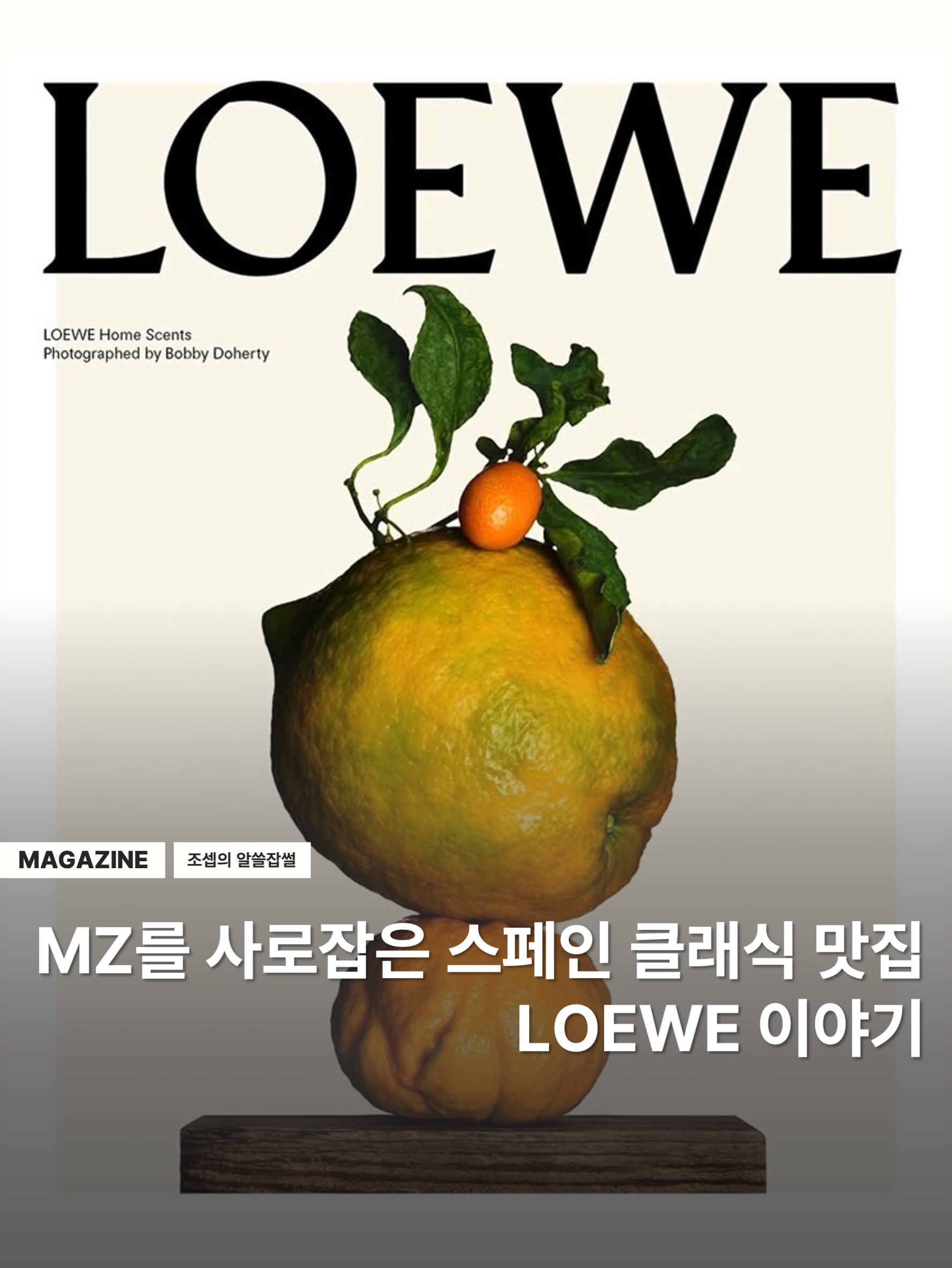 로에베 스몰 해먹백 클래식 카프스킨 탄, 로에베 컴팩트 해먹백 소프트 그레인드 카프스킨 샌드 착용 스타일 - 1
