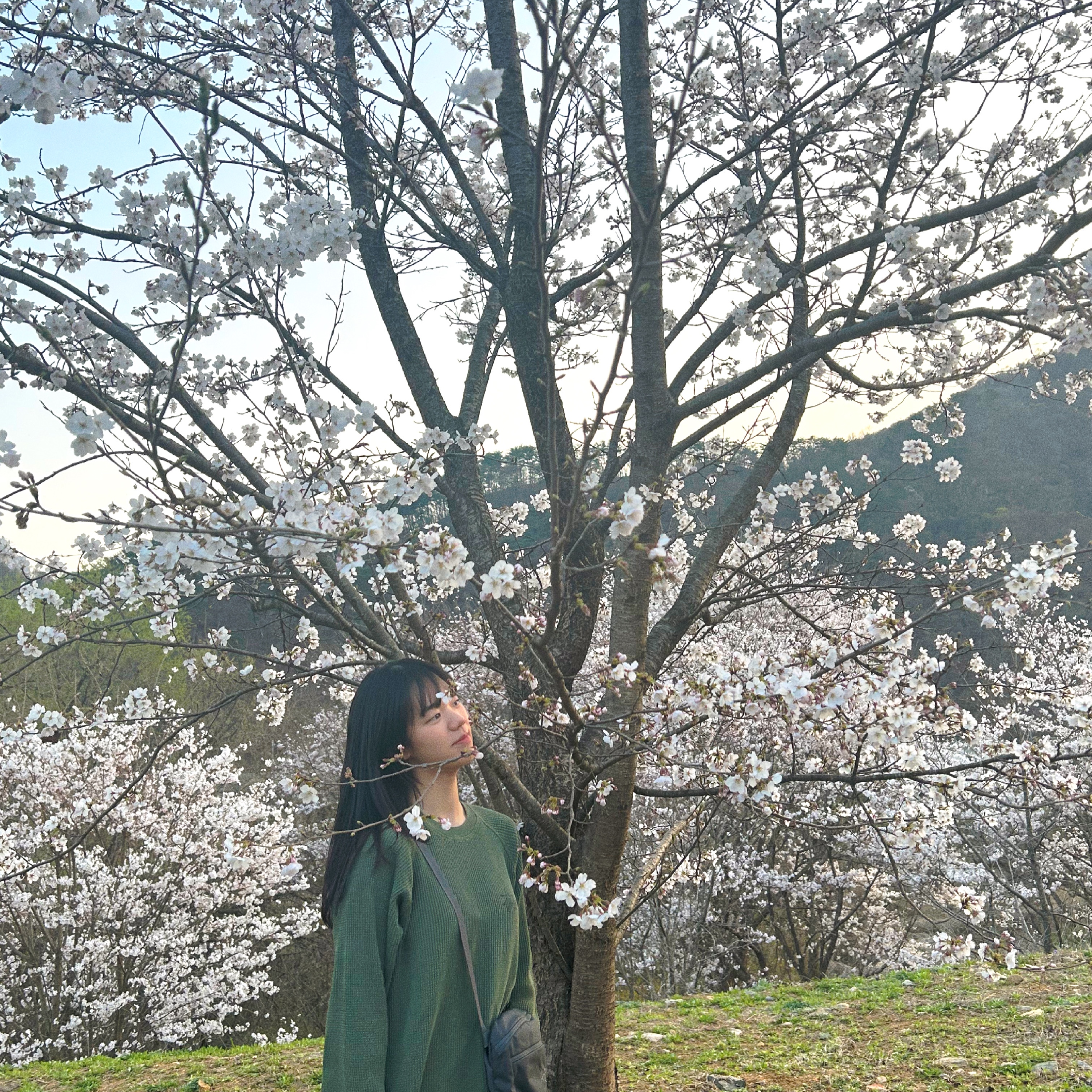 Stussy Raglan Thermal LS Crew Pine 착용 스타일 - 2