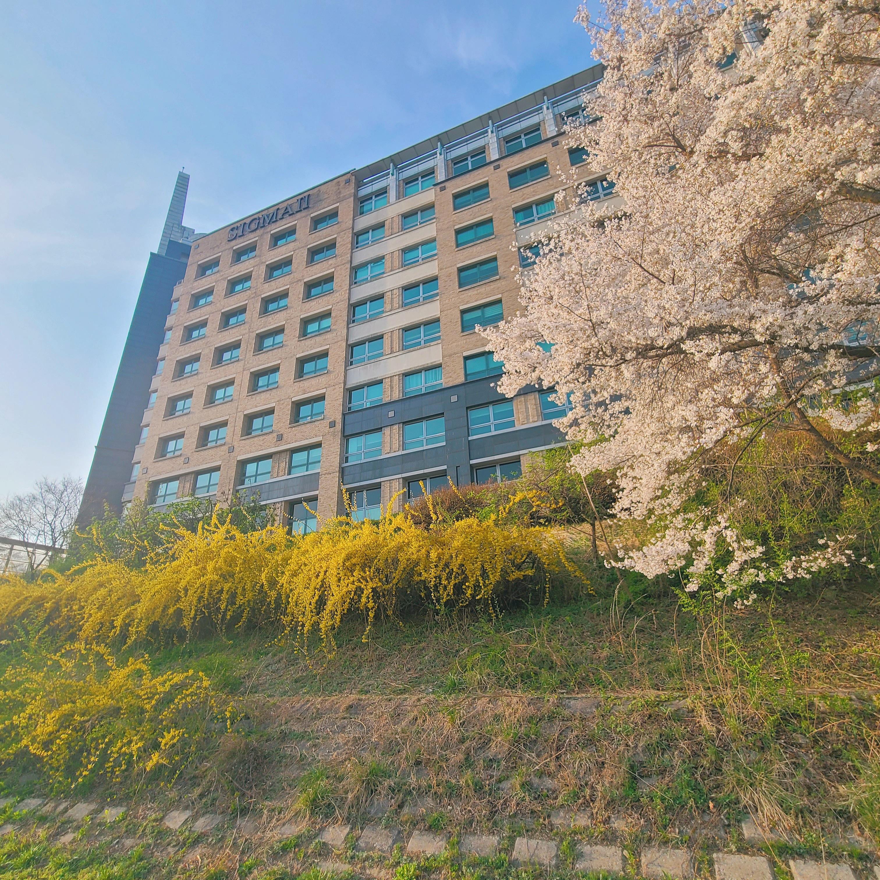 팝마트 더 몬스터즈 라부부 테이스티 마카롱 시리즈 미개봉 랜덤박스 (6개입) 착용 스타일 - 3