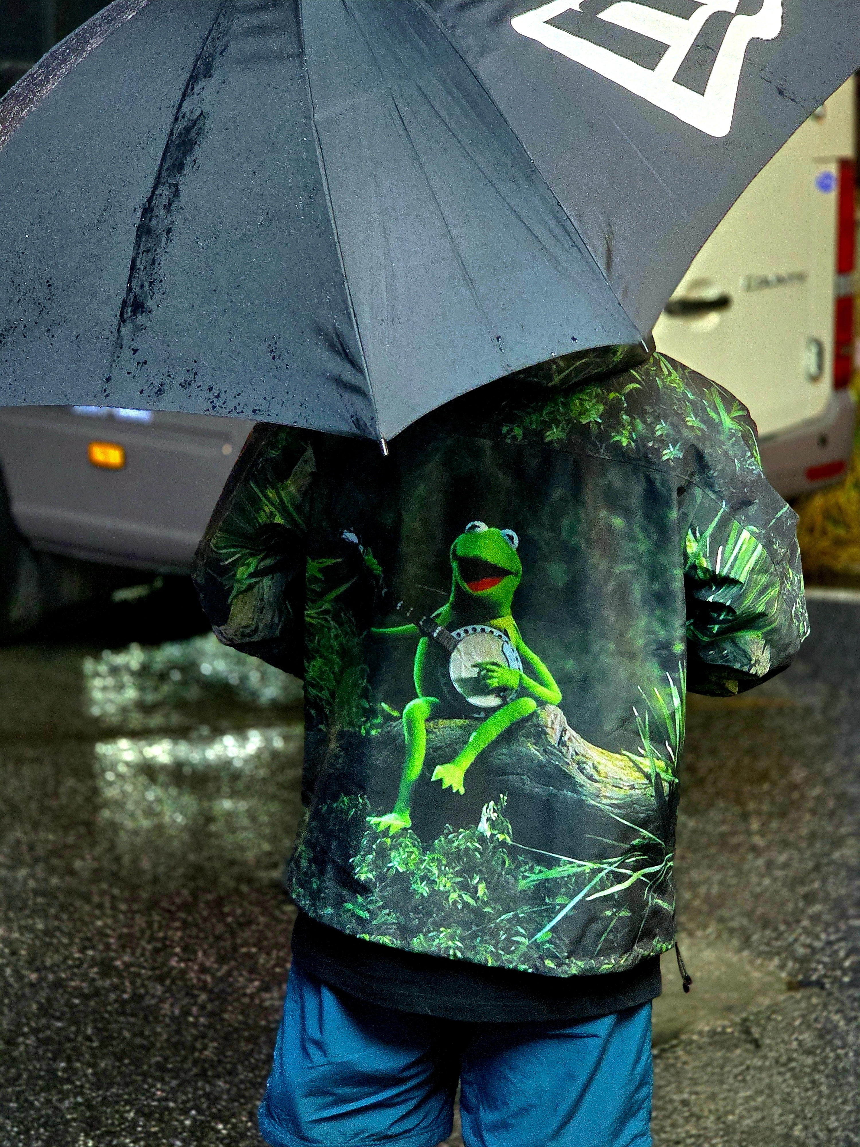 Supreme Gore-Tex Taped Seam Shell Jacket Kermit The Frog - 24SS, Supreme Washed Chino Twill Camp Cap Pine Green - 23FW 착용 스타일 - 1