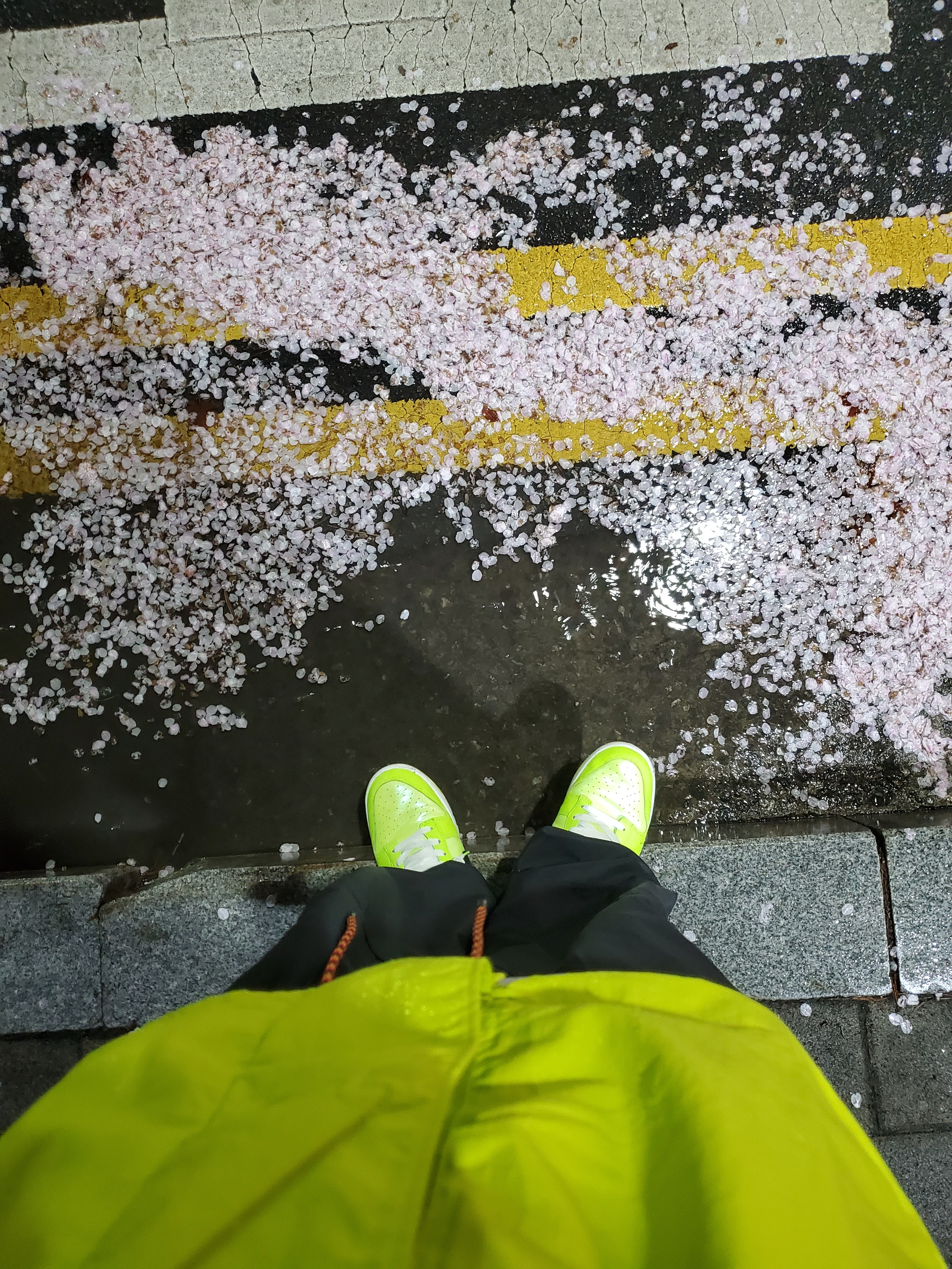 Nike Tech Jacket Bright Cactus - Asia, Nike Dunk Low Volt 착용 스타일 - 4