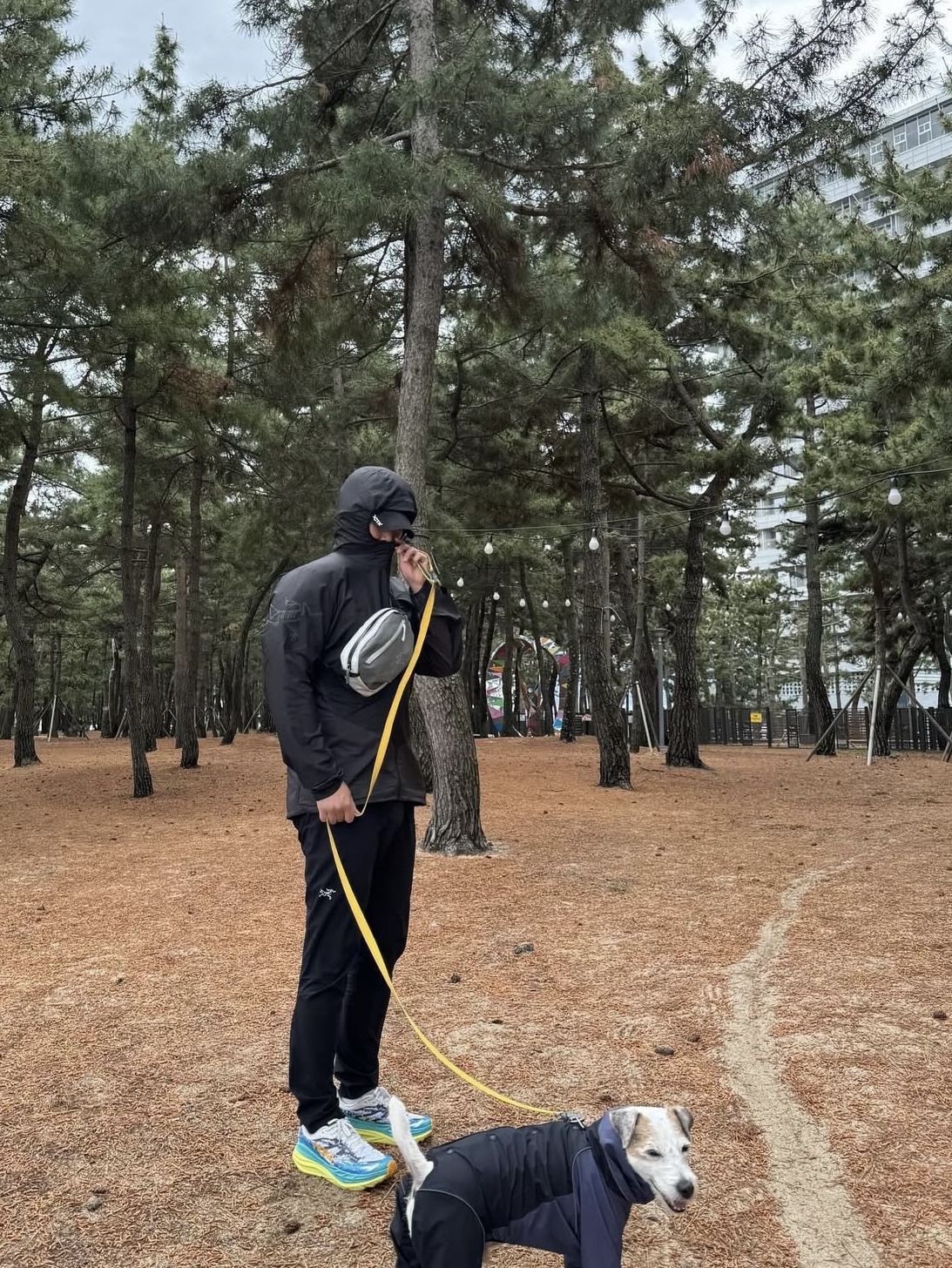 Arc'teryx Norvan Windshell Hoody Black Graphite, Arc'teryx Arro Waistpack Atmos 착용 스타일