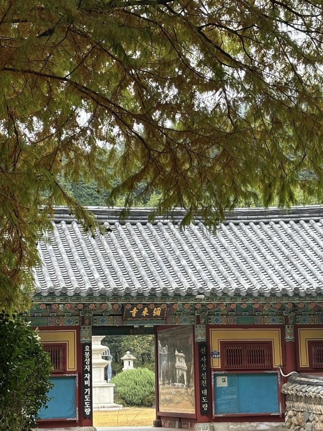 온 러닝 라이트웨이트 캡 블랙, 아크테릭스 질레 누클리아이 베스트 블랙 착용 스타일 - 5
