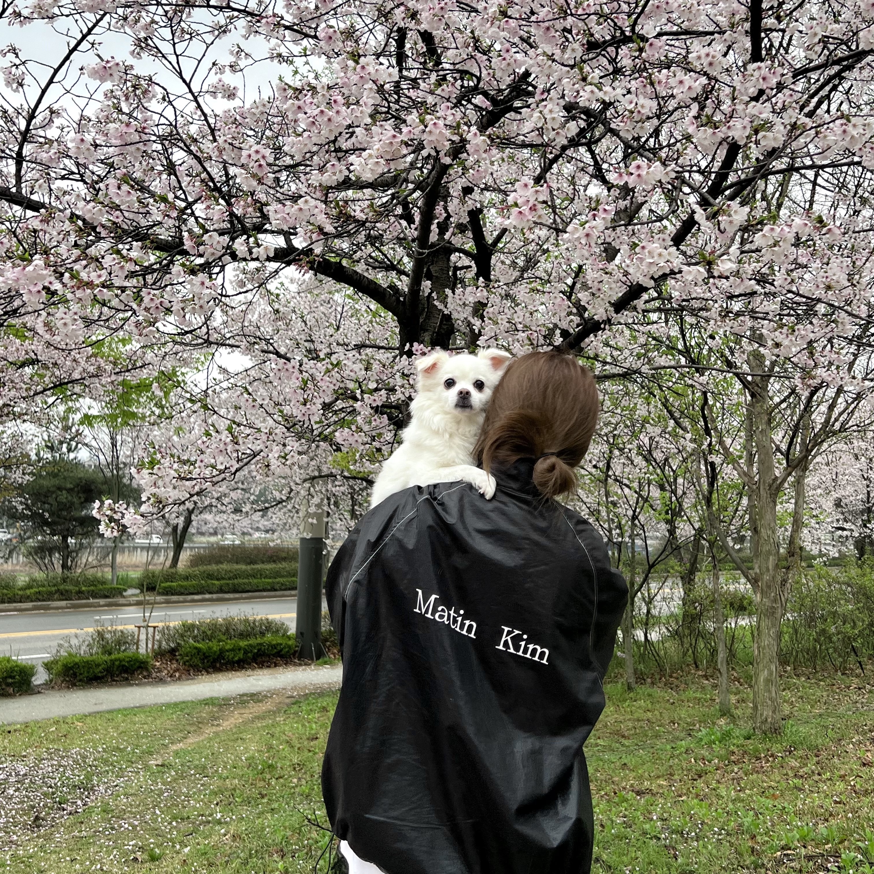 (W) 마뗑킴 로고 코팅 점퍼 블랙 착용 스타일