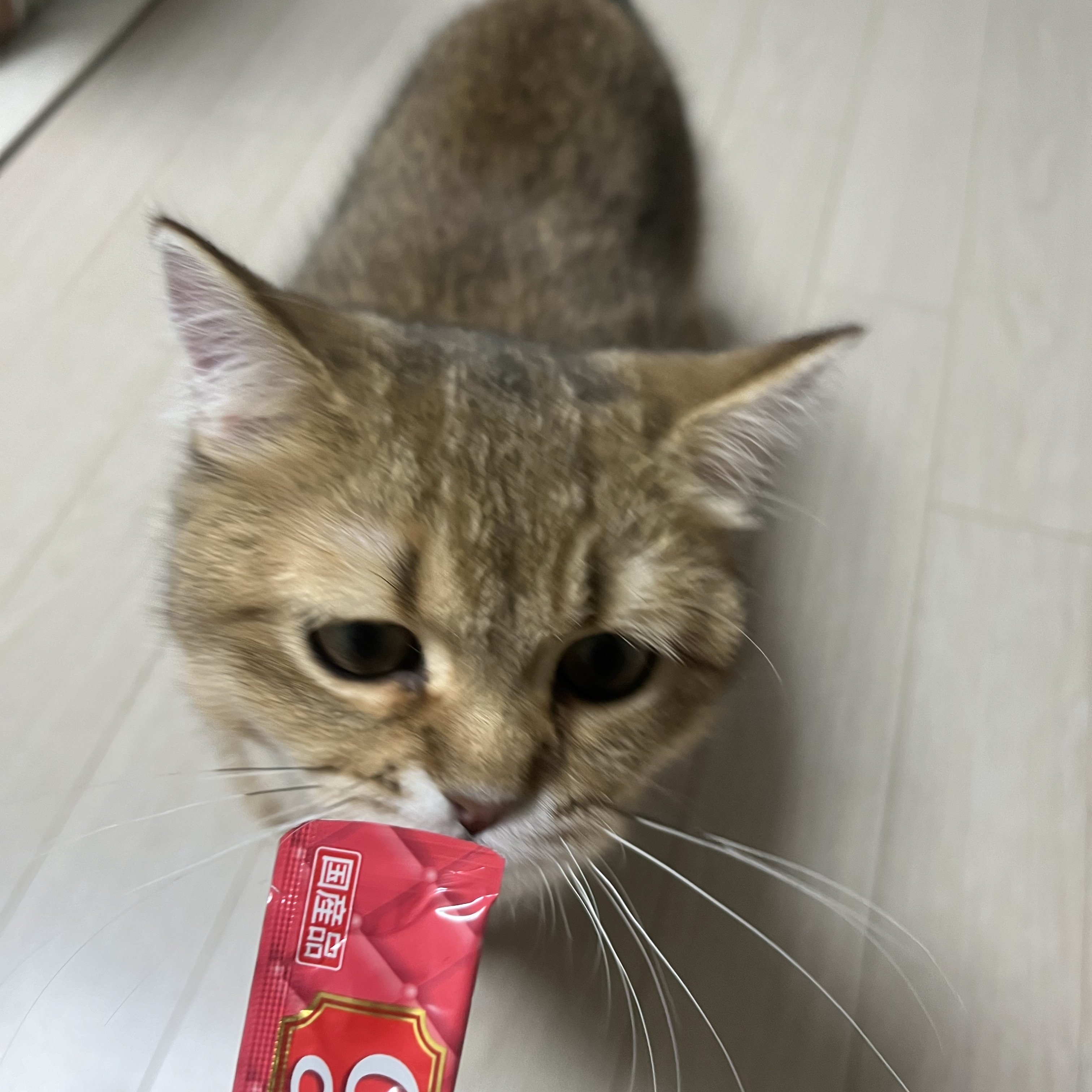 young co님의 스타일 - 2