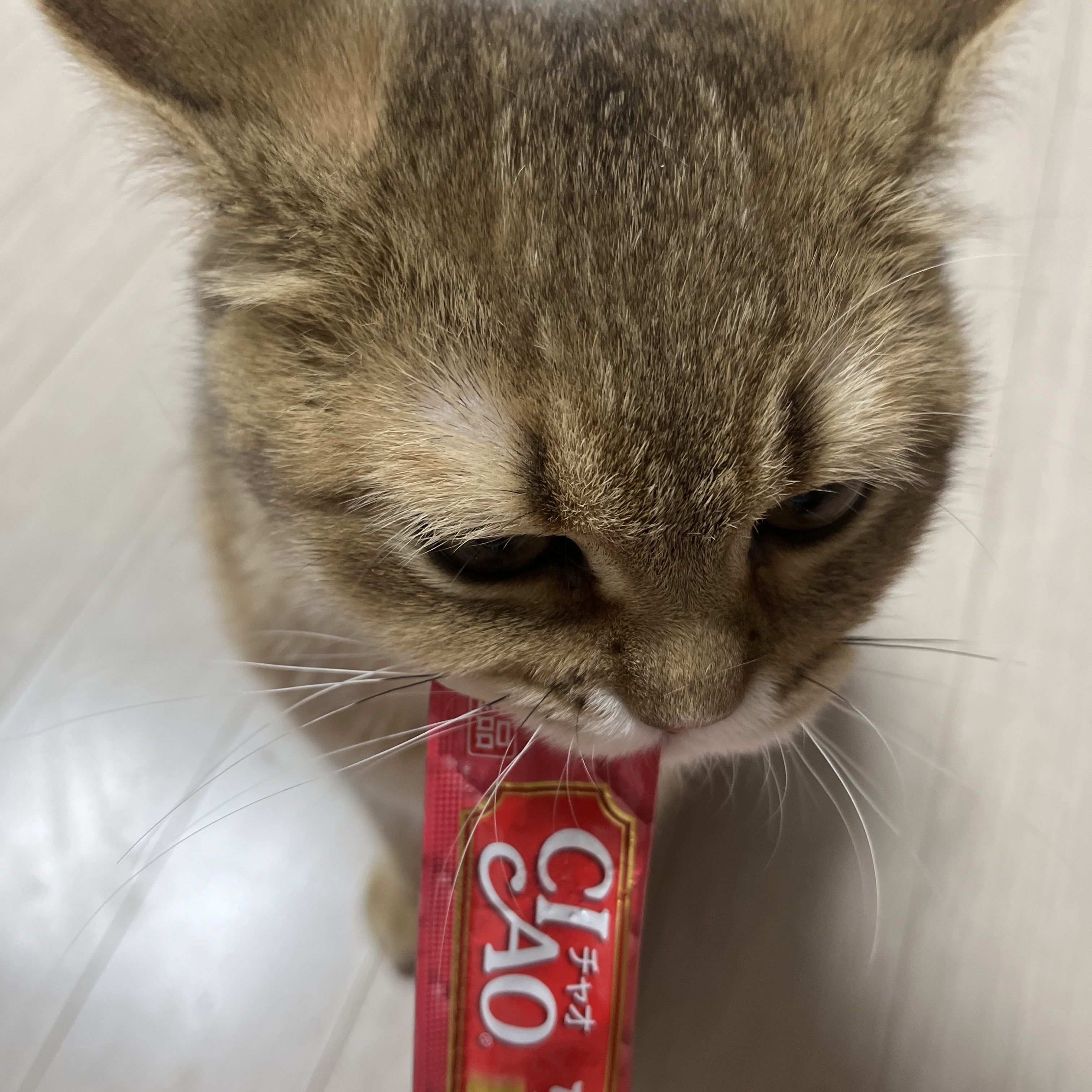 young co님의 스타일 - 4