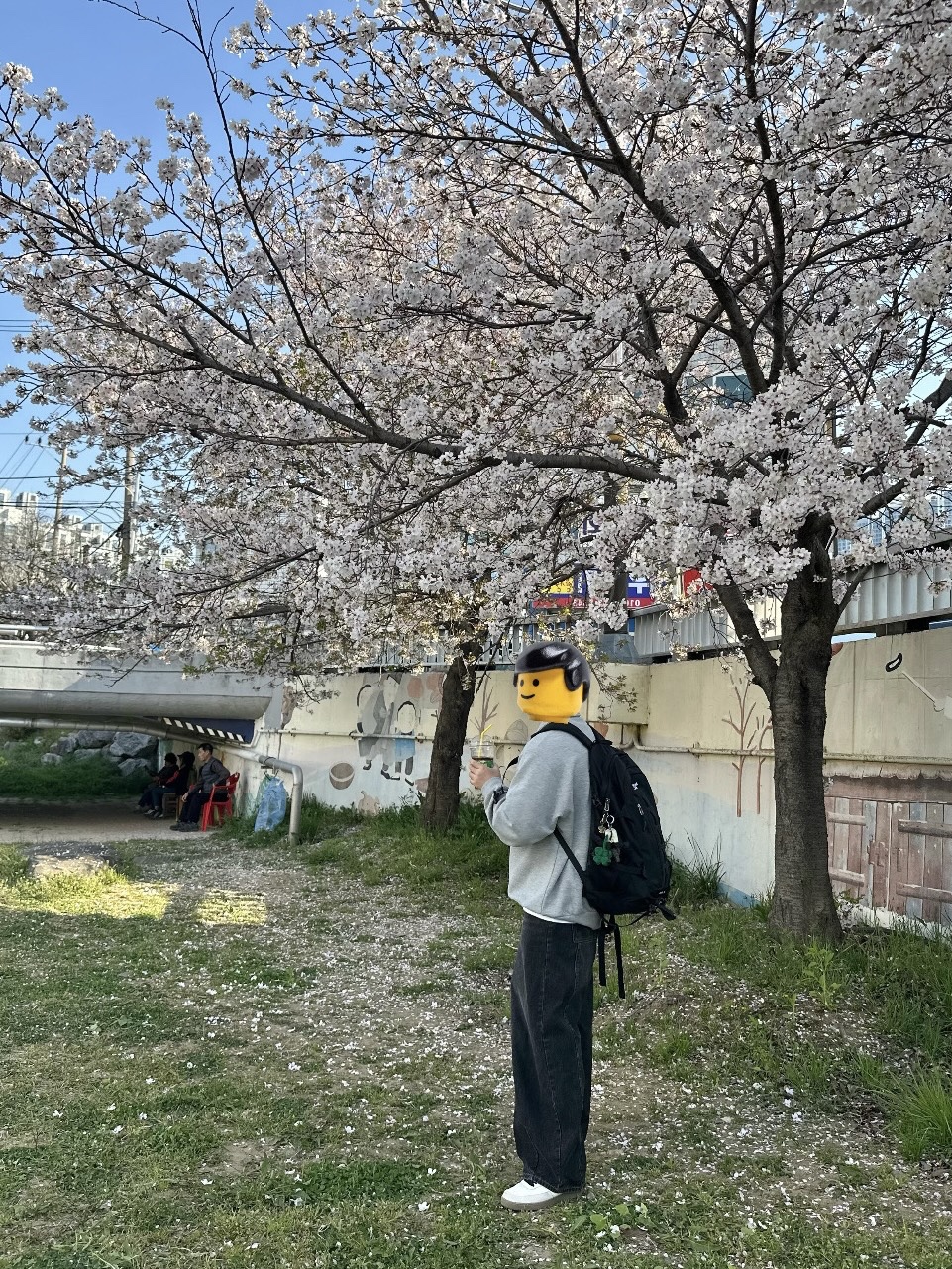 나이키 코트 비전 로우 세일 라이트 오어우드 브라운, 노스페이스 빅샷 블랙 착용 스타일 - 2