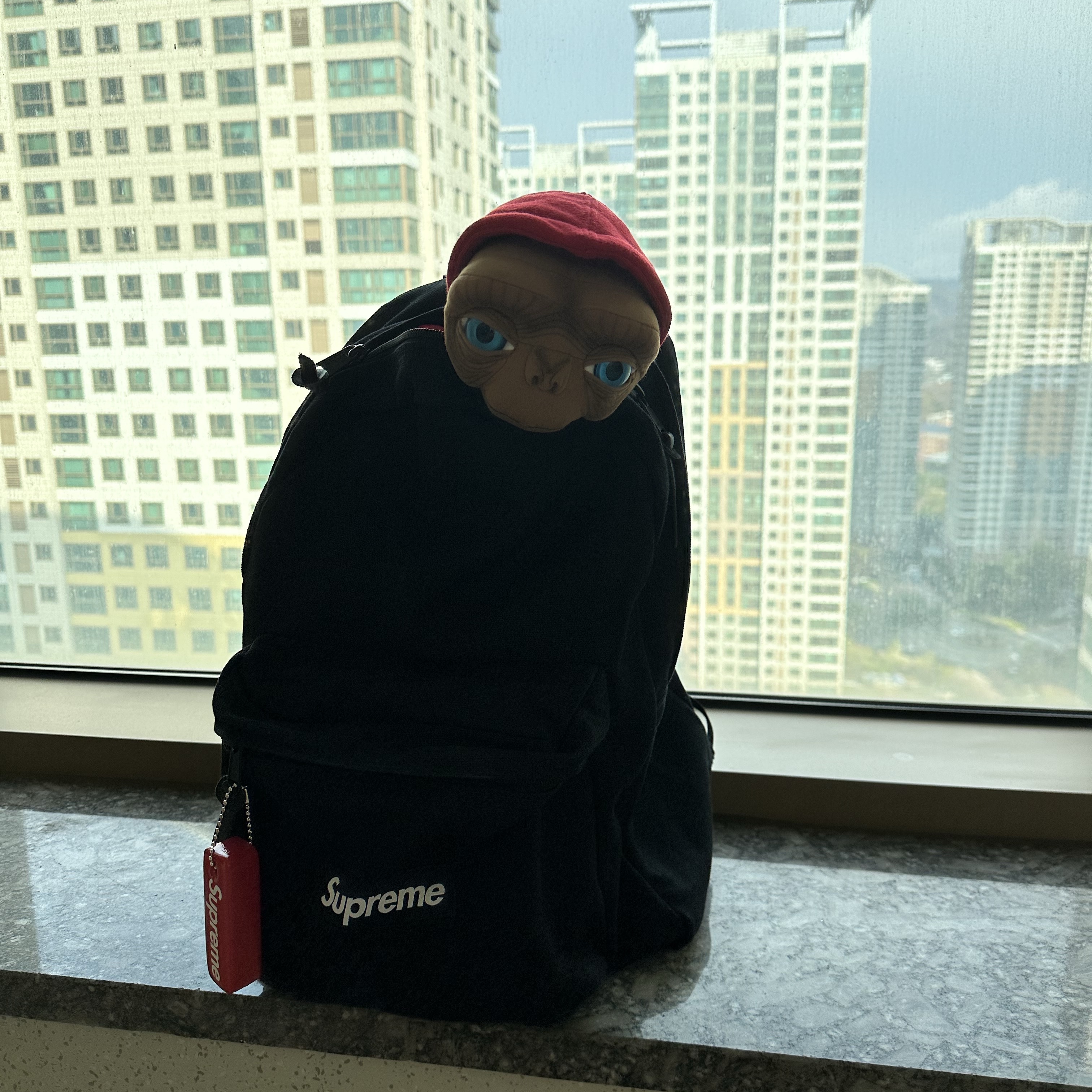 Supreme x Steiff ET Multicolor - 25SS 착용 스타일 - 2