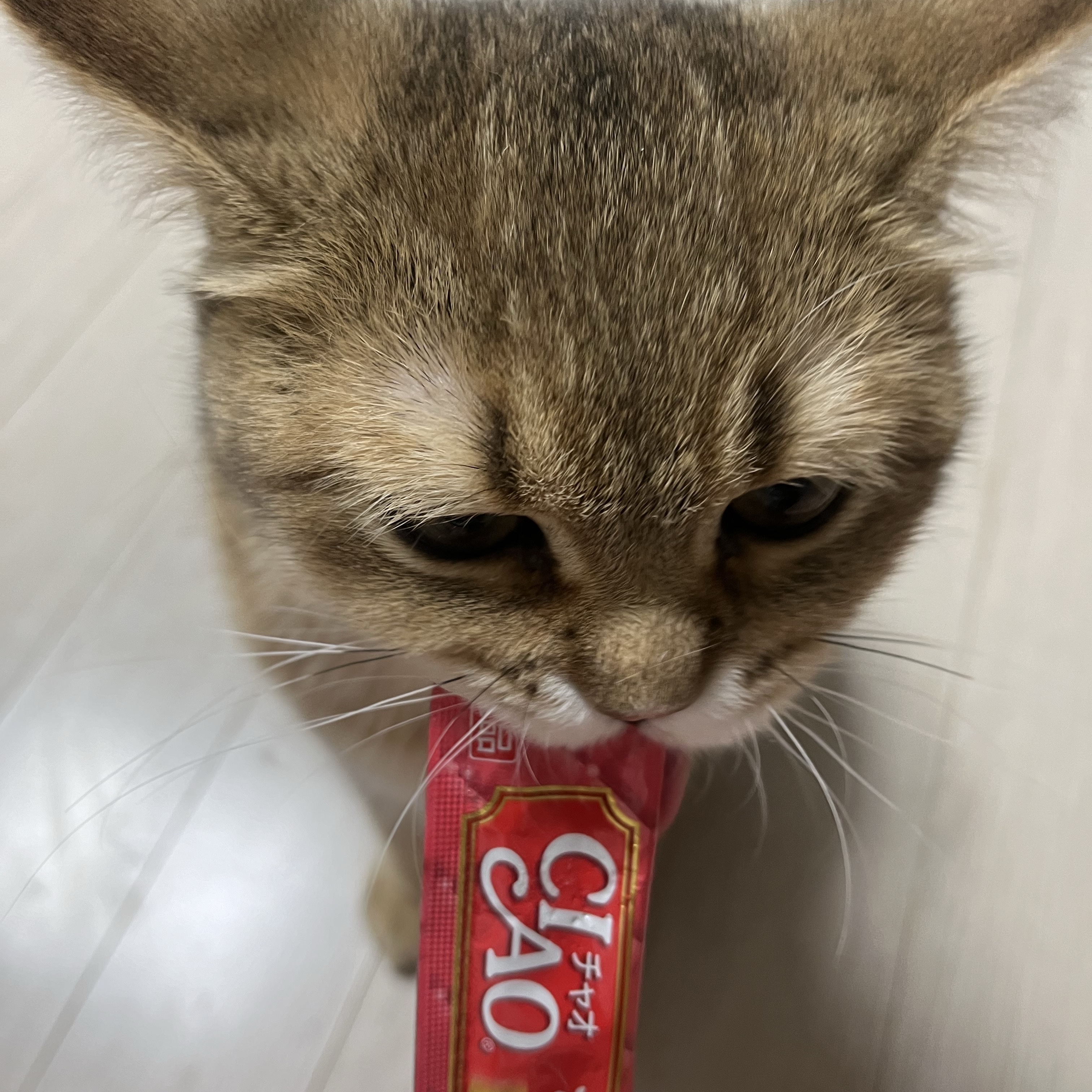 young co님의 스타일 - 1