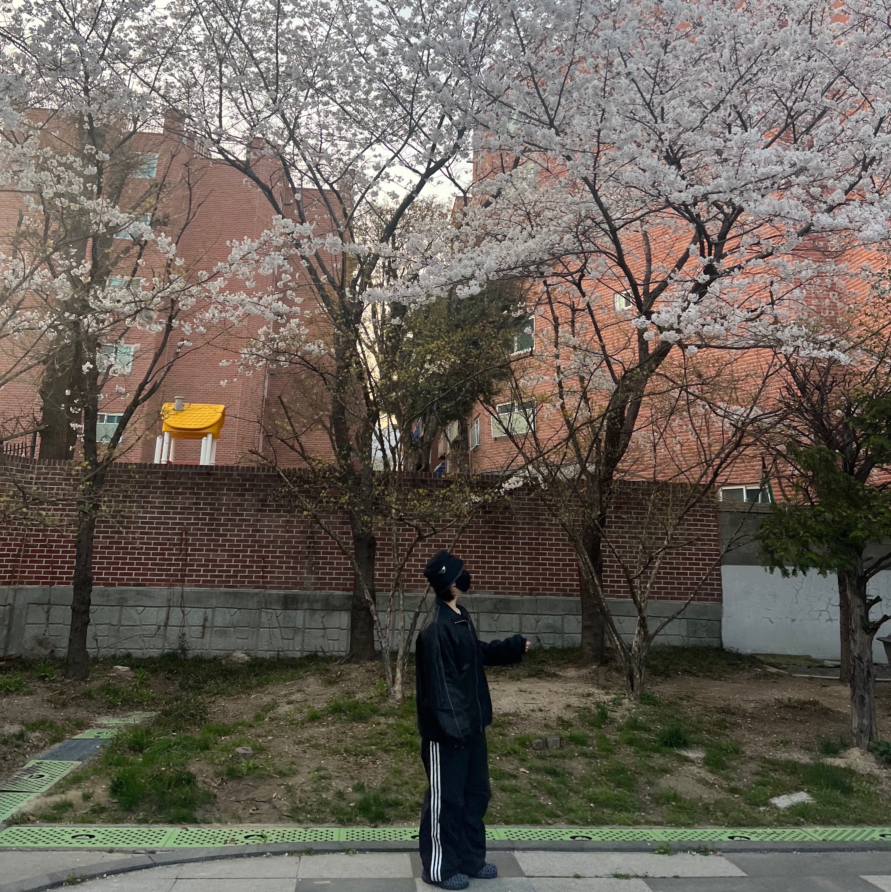 (W) Prada Re-Nylon Denim Bucket Hat Black Blue, (W) Matin Kim Logo Coating Jumper Black 착용 스타일 - 1