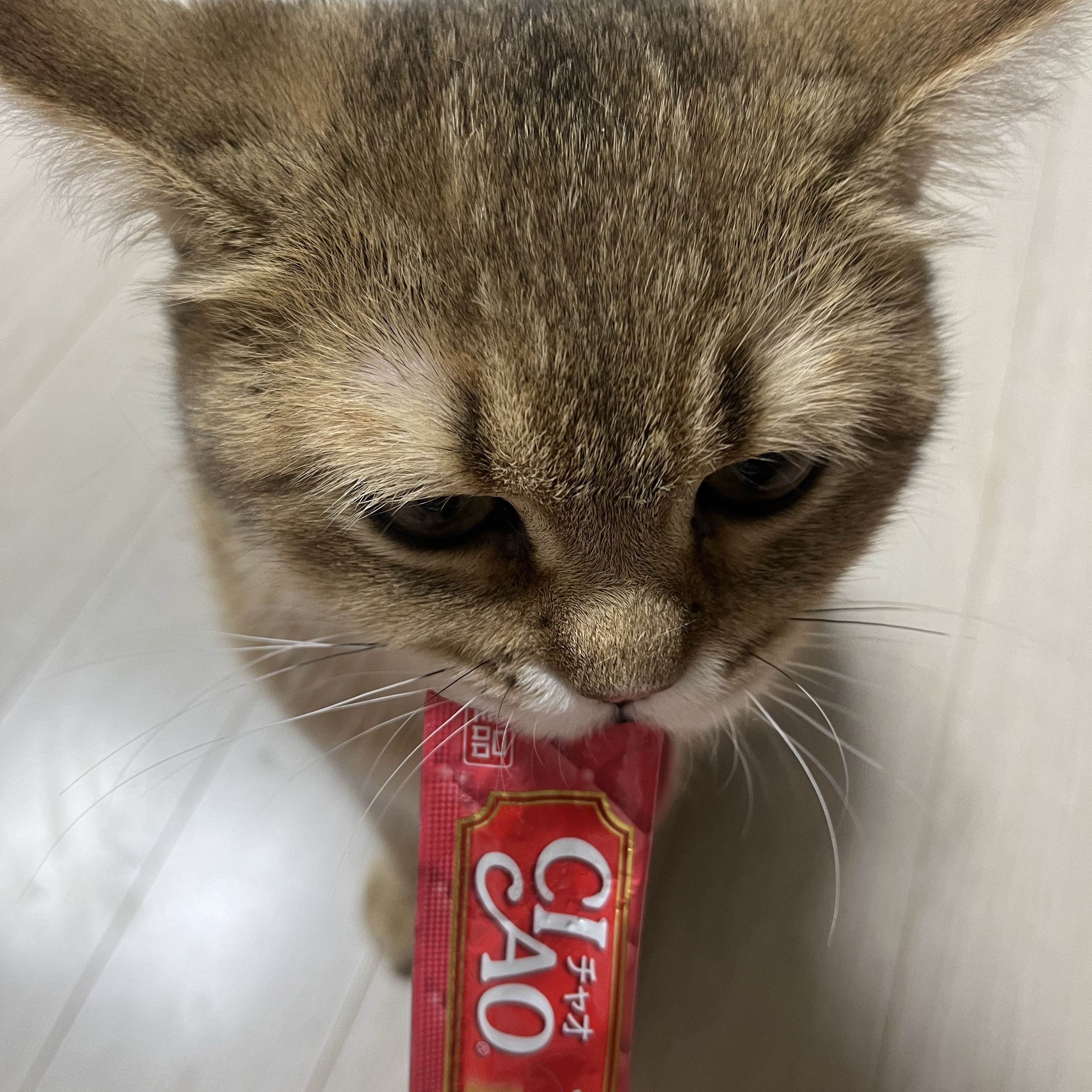 young co님의 스타일 - 3