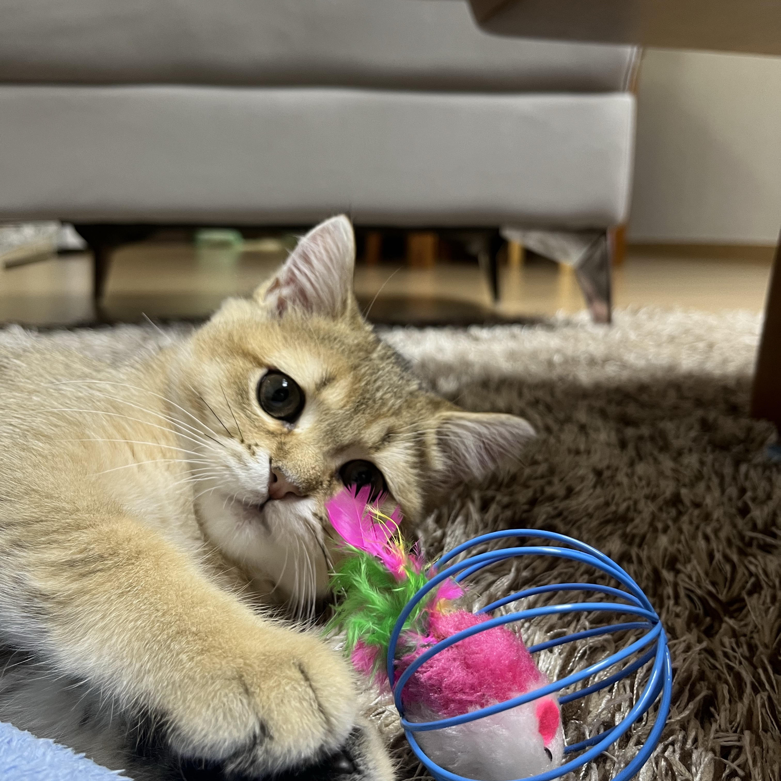 Adidas x BAPE Ultimate Shark Hoodie Black - KR Sizing 착용 스타일 - 4