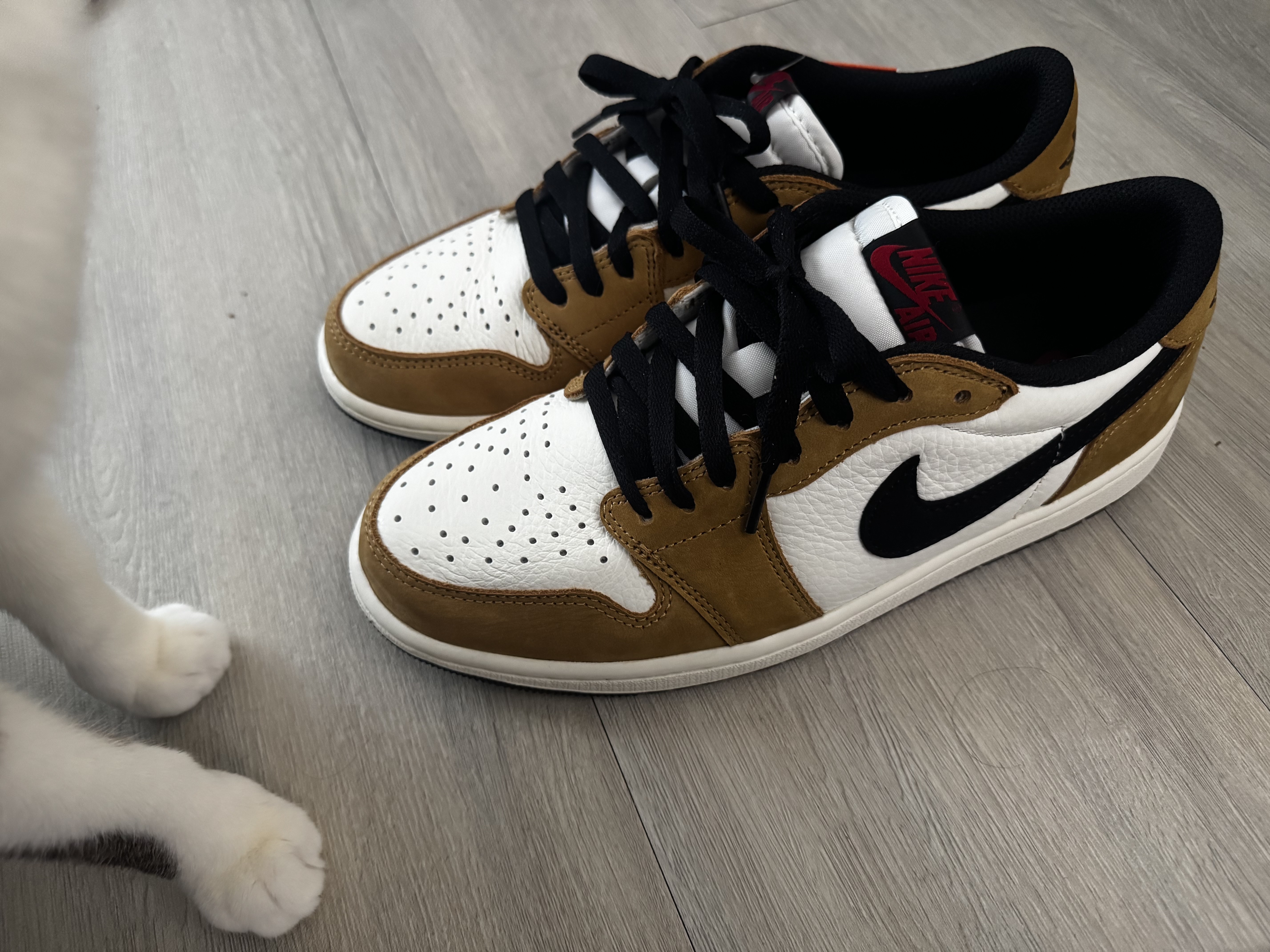 Jordan 1 Low OG Sail and Golden Harvest 착용 스타일 - 1