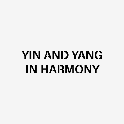 인앤양 인 하모니(Yinandyang In Harmony)