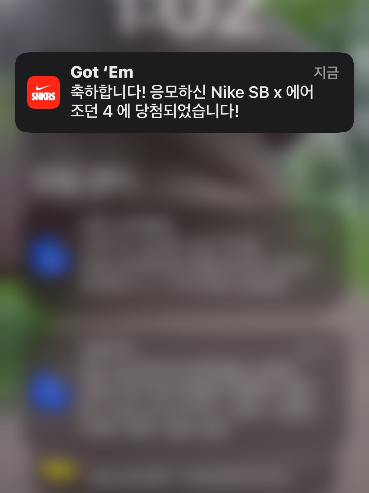 Jordan 4 x Nike SB Retro SP Navy, Onitsuka Tiger Mexico 66 White Burgundy 착용 스타일 - 1