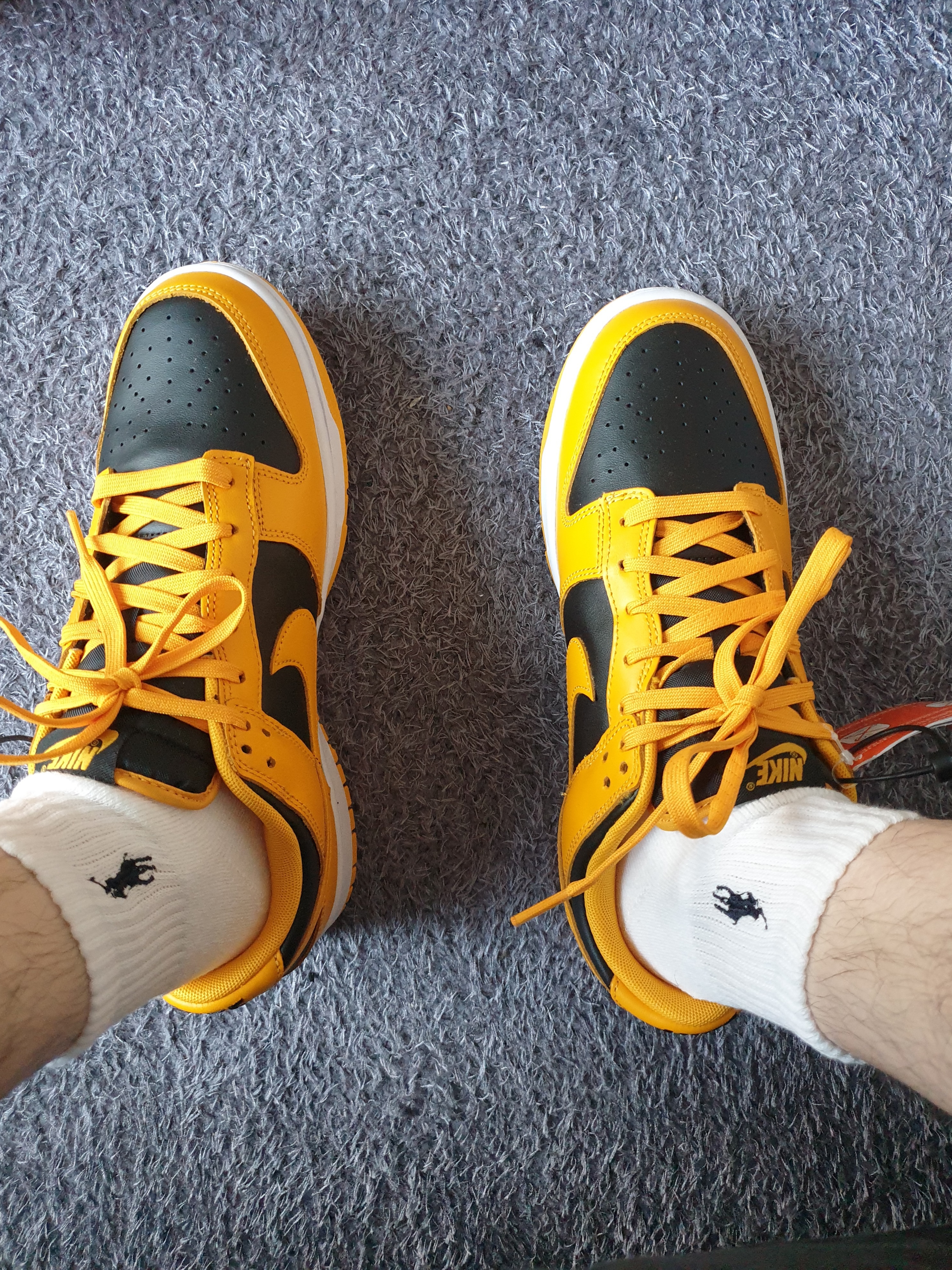 Nike Dunk Low Retro Championship Goldenrod 착용 스타일