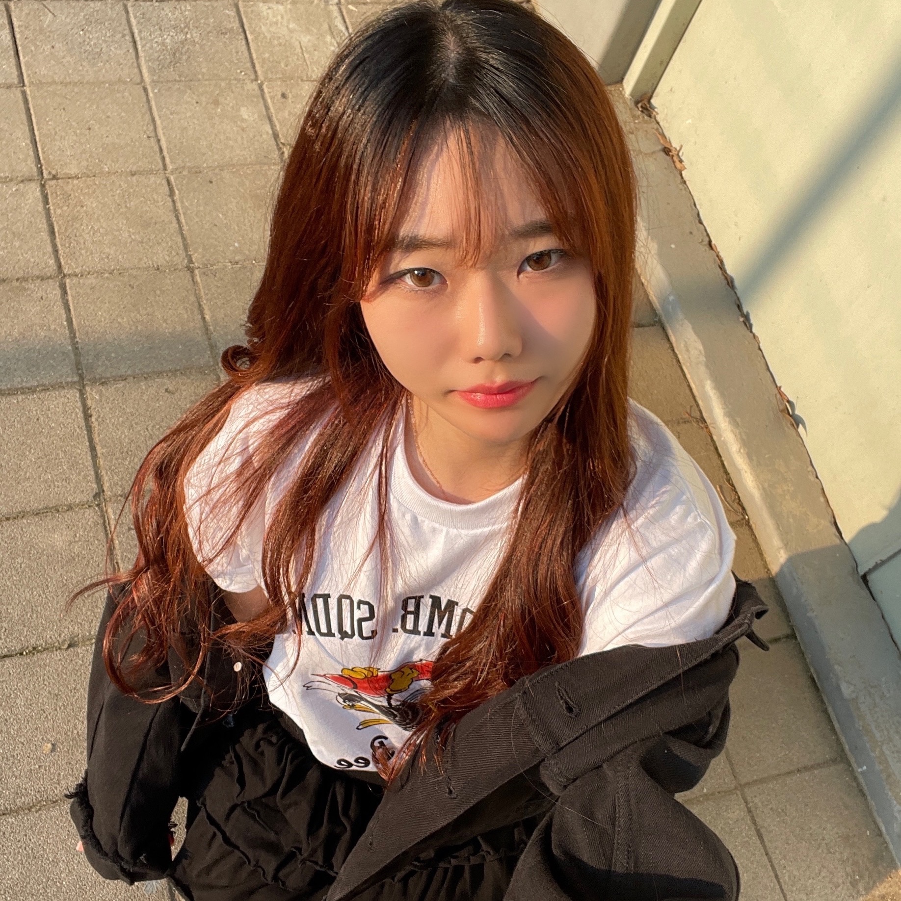 Gildan X 아메리칸 컬렉션 범블비 티셔츠 화이트 착용 스타일 - 1
