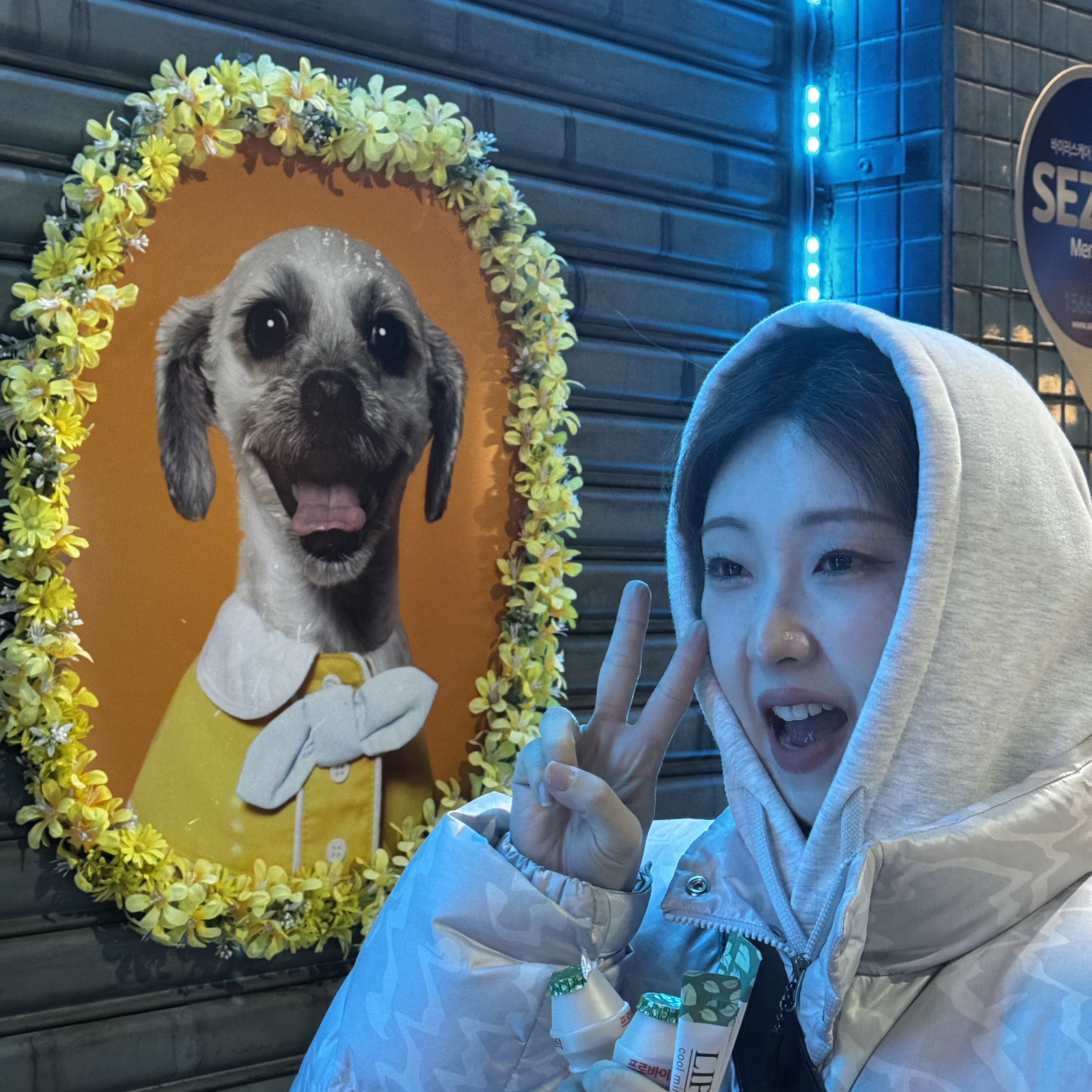 스투시 베이직 스투시 후드 애쉬 헤더 착용 스타일 - 2