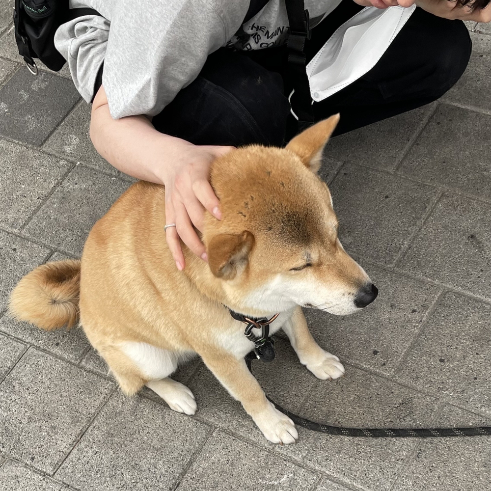관심 유저 프로필 이미지