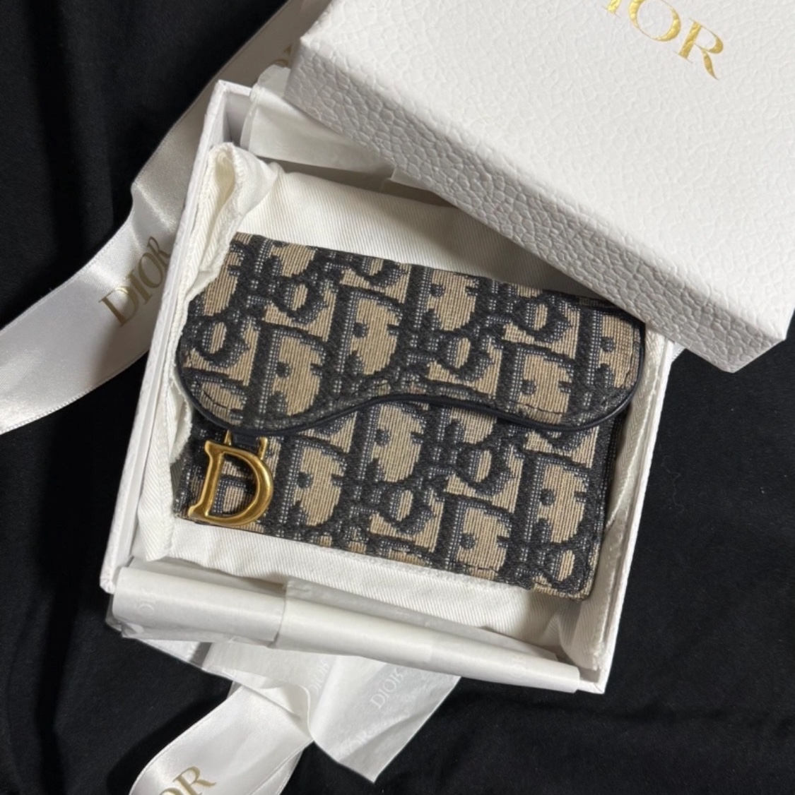 Dior Saddle Flap Card Holder Blue Dior Oblique Jacquard 착용 스타일