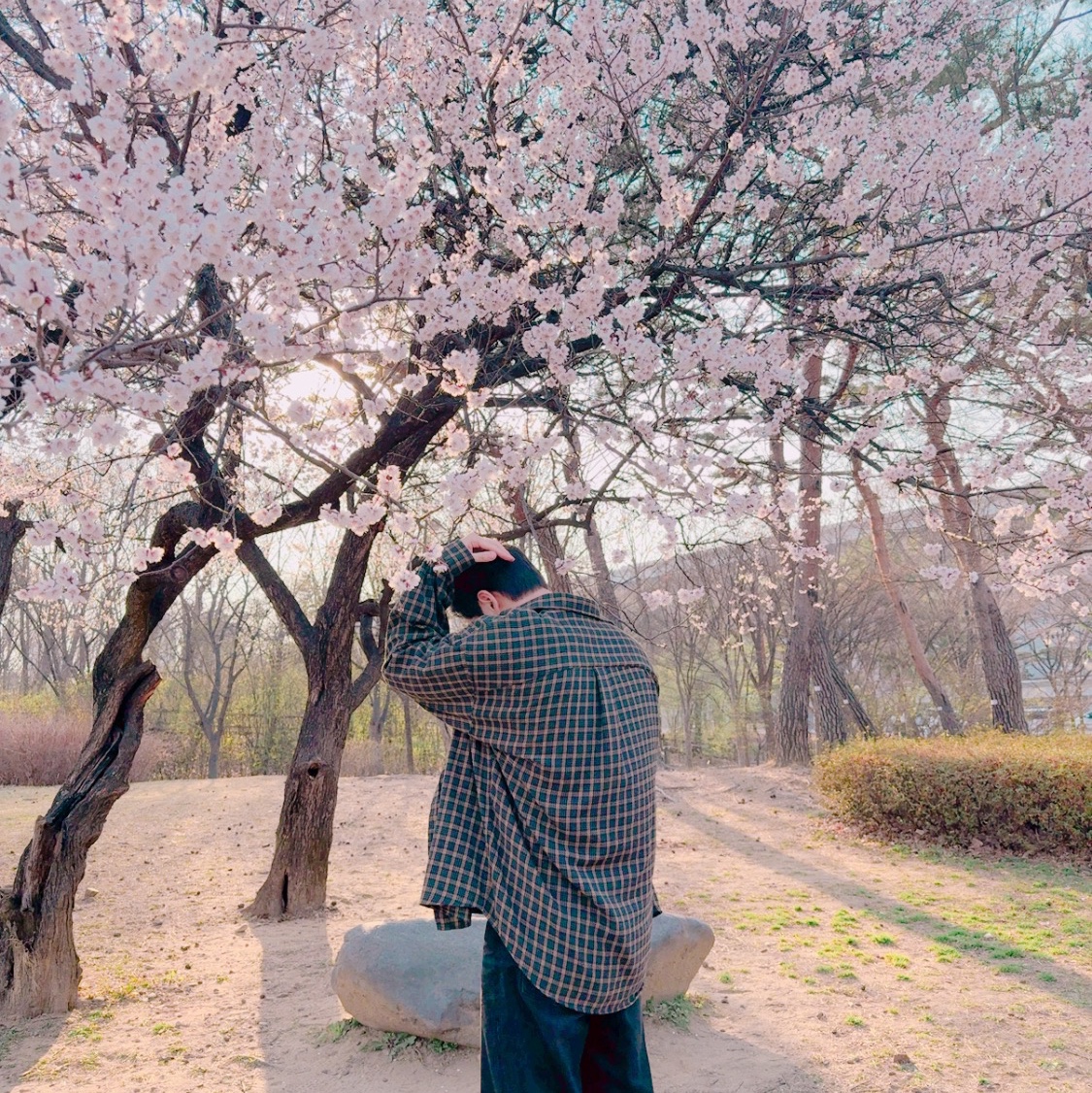 yoo7858님의 스타일