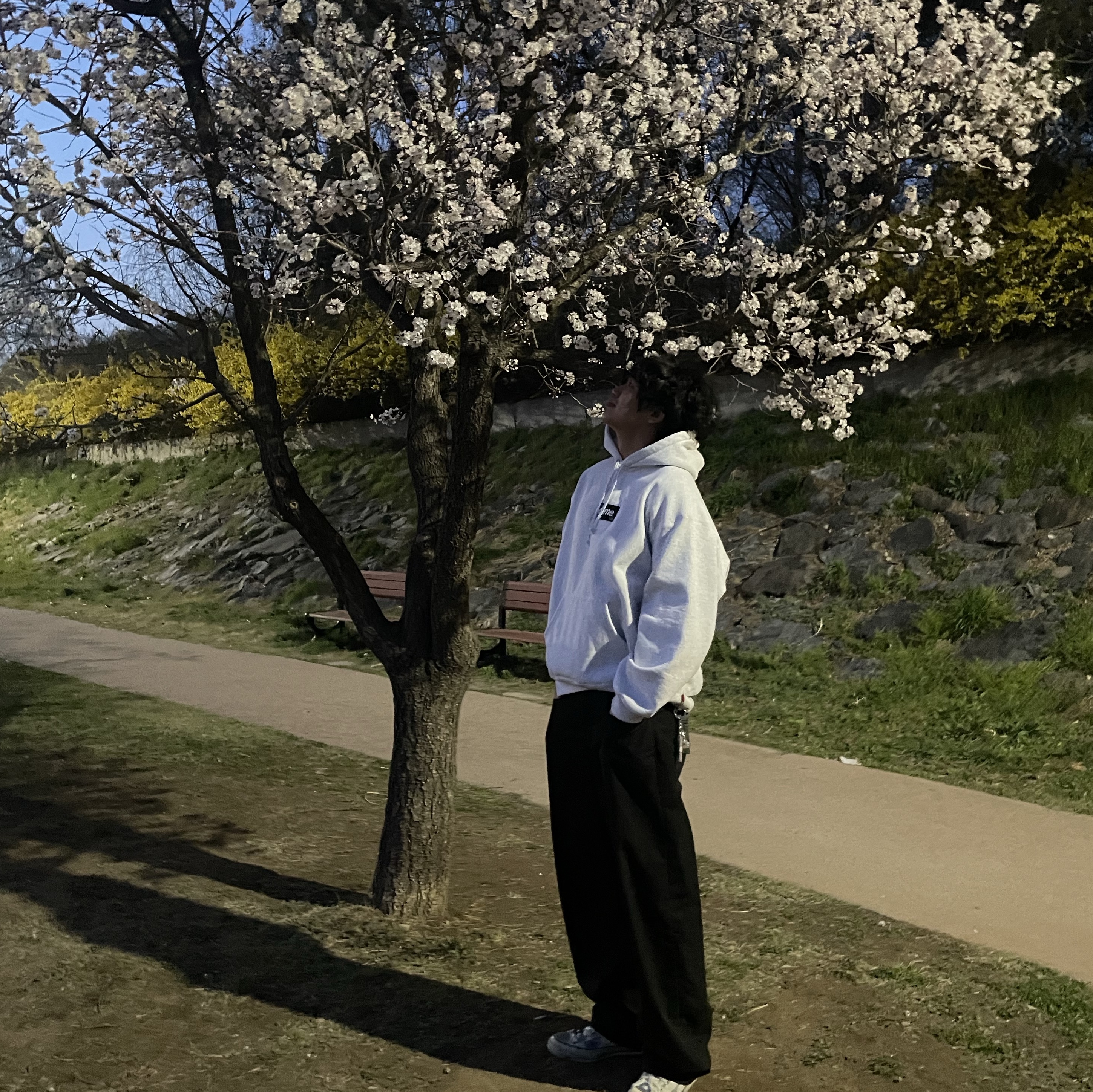 Supreme Box Logo Hooded Sweatshirt Ash Grey - 23FW 착용 스타일