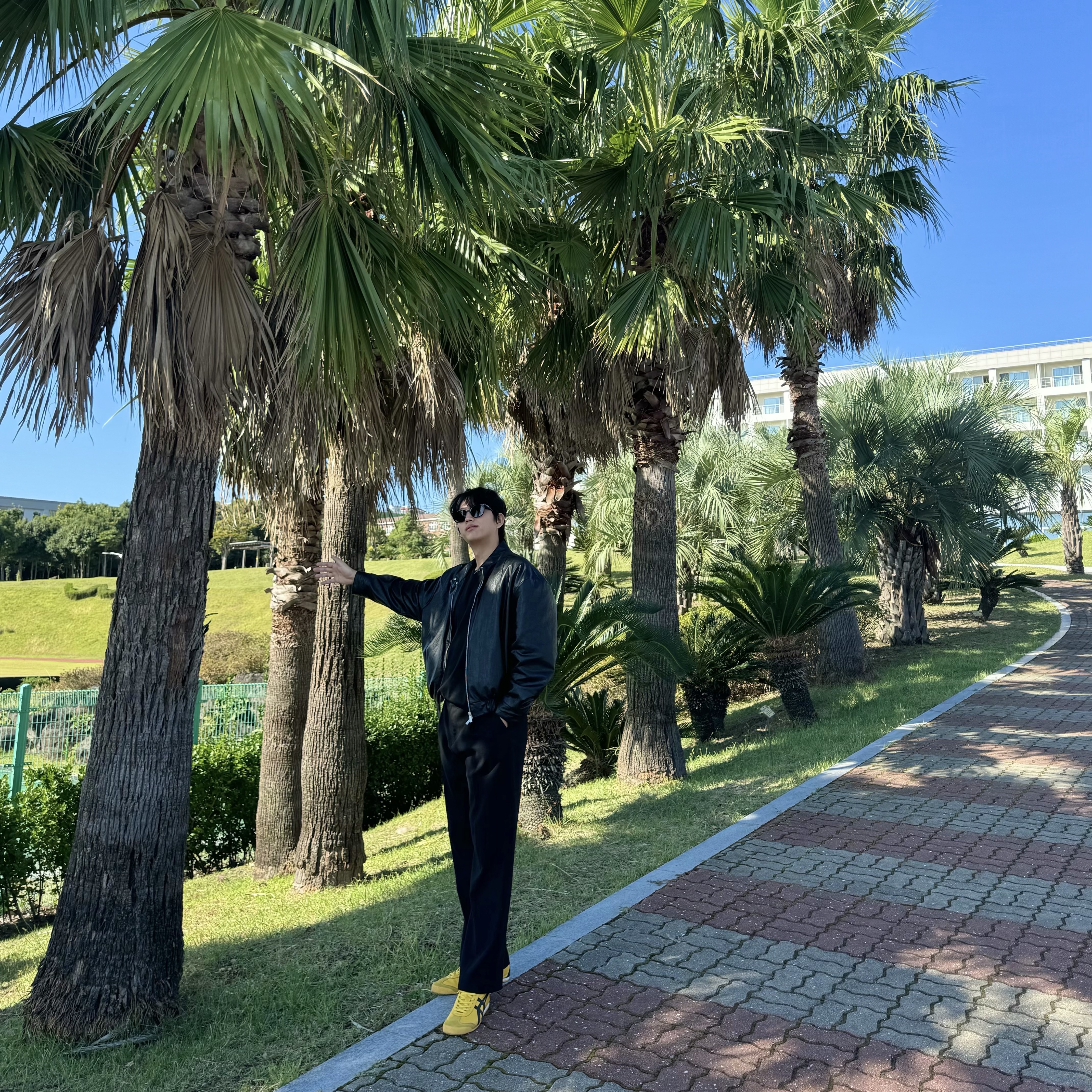 오니츠카 타이거 멕시코 66 옐로우 블랙 착용 스타일