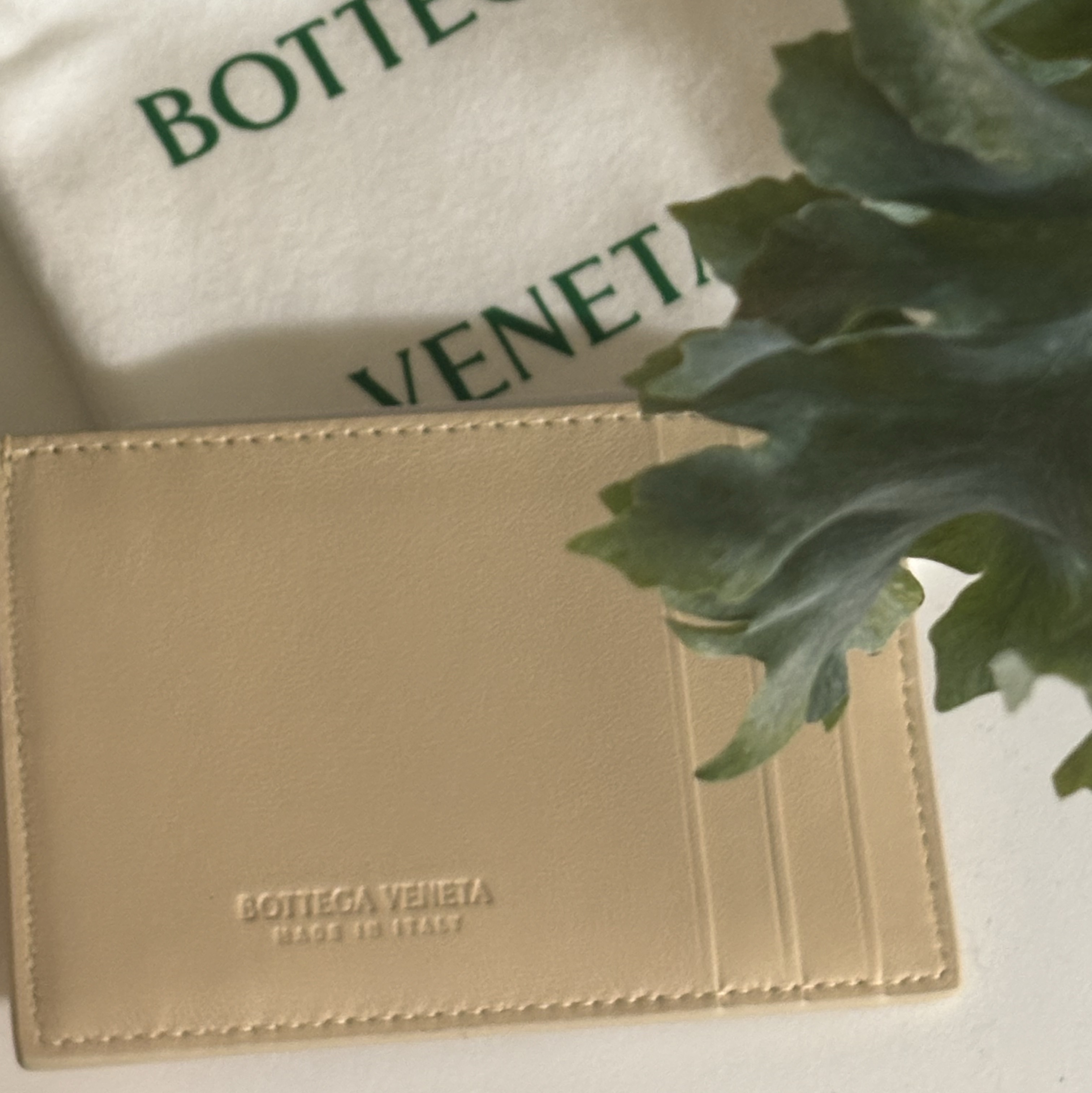 Bottega Veneta Credit Card Case Lambskin & Calfskin Porridge 착용 스타일 - 2