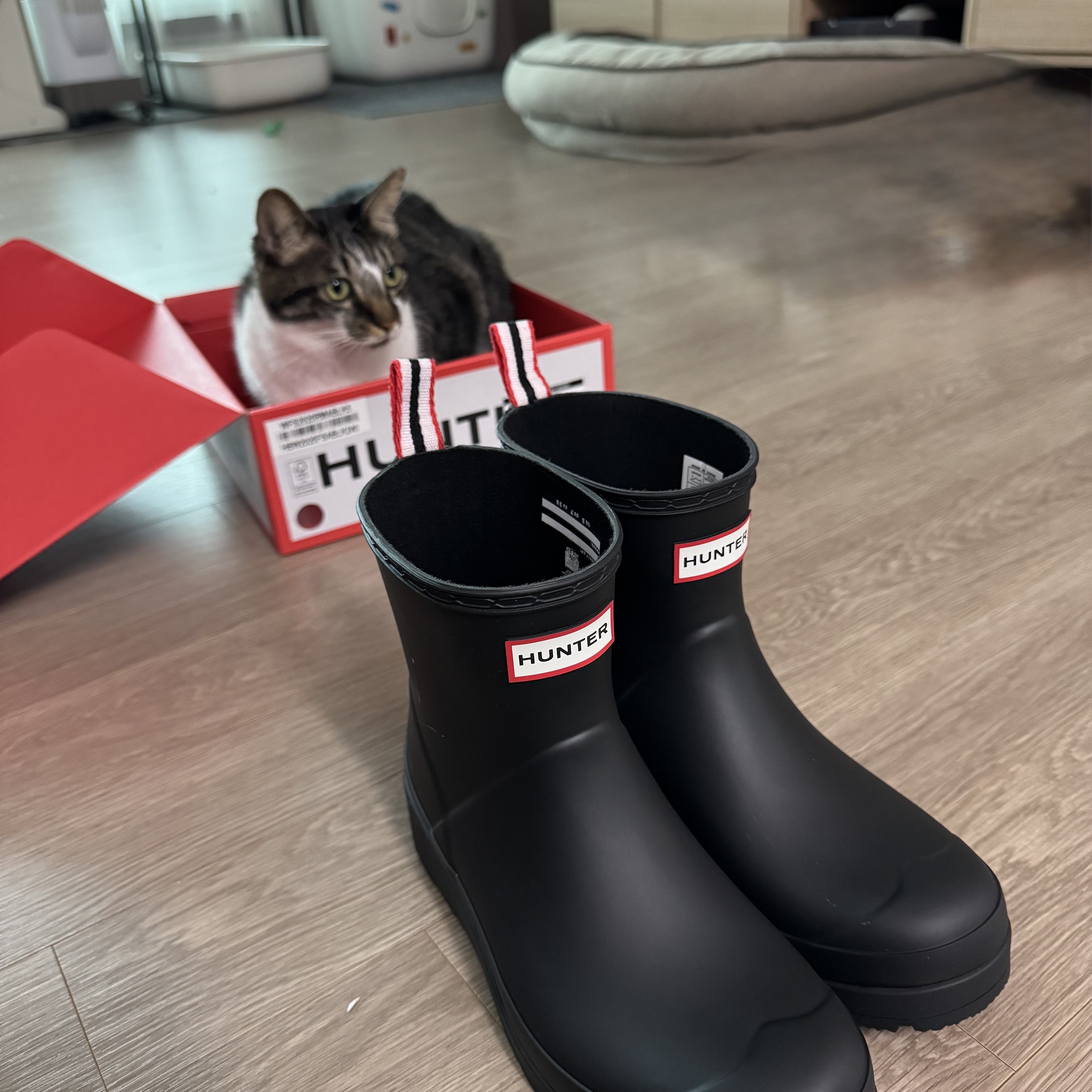 (W) Hunter Play Short Rain Boots Black 착용 스타일