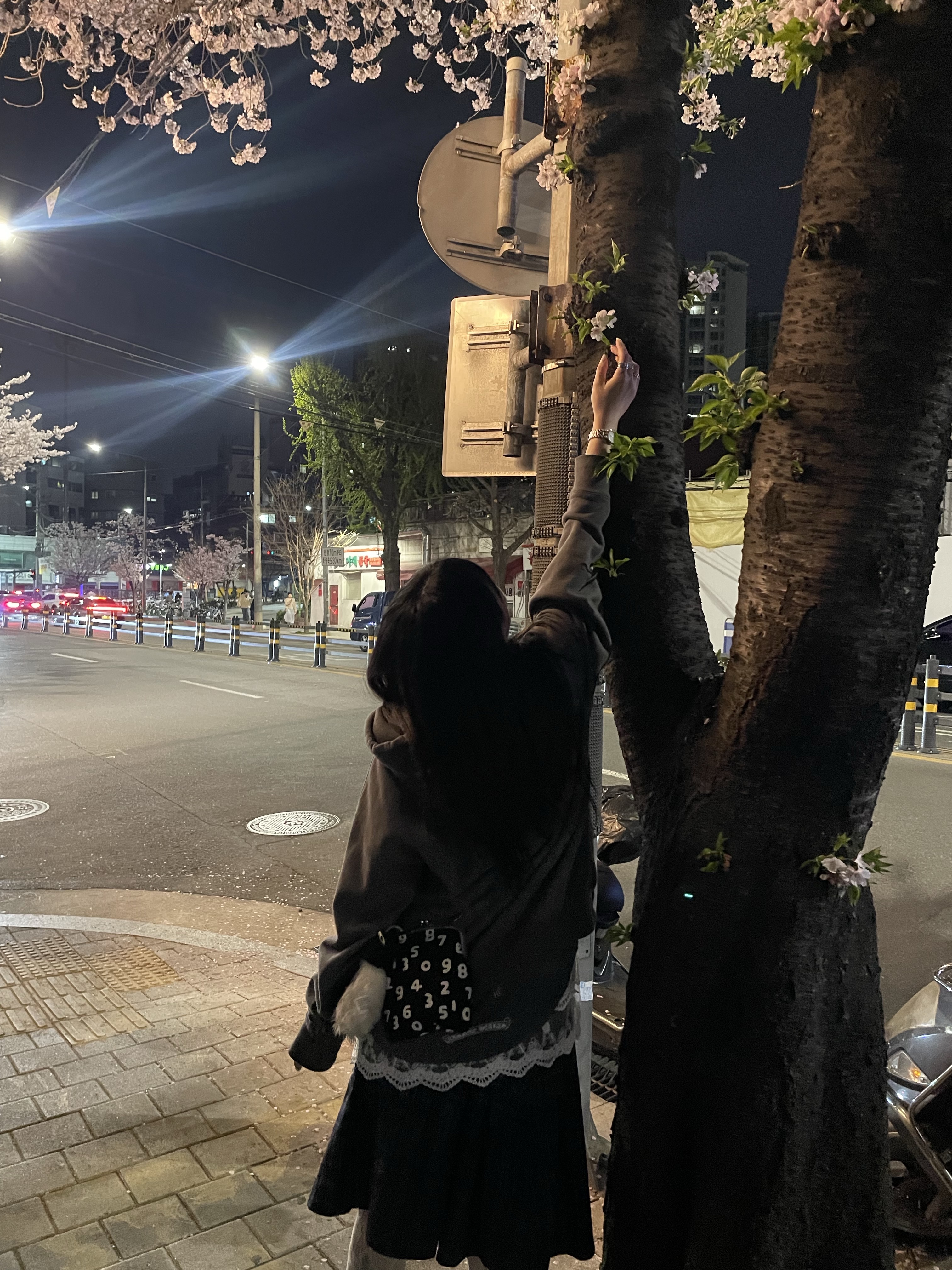 소우소우 캔버스 소프트 가마구치 백 라지 블랙 (110cm 블랙 가죽 스트랩 포함), 카브엠트 자수 집 후드 차콜 - 24SS 착용 스타일 - 1