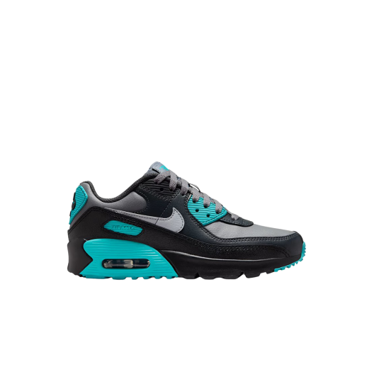 (GS) Nike Air Max 90 LTR Cool Grey Dusty Cactus