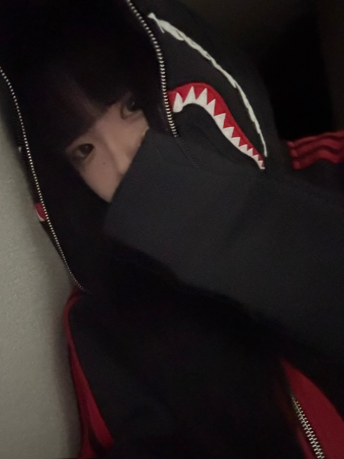 Adidas x BAPE Ultimate Shark Hoodie Black - KR Sizing 착용 스타일 - 4