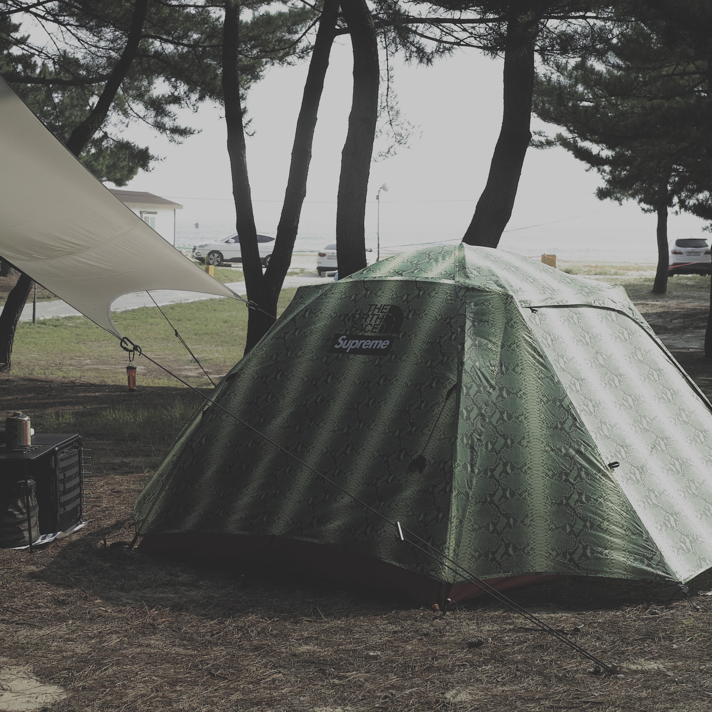 Supreme x The North Face Snakeskin Taped Seam Stormbreak 3 Tent Green - 18SS 착용 스타일