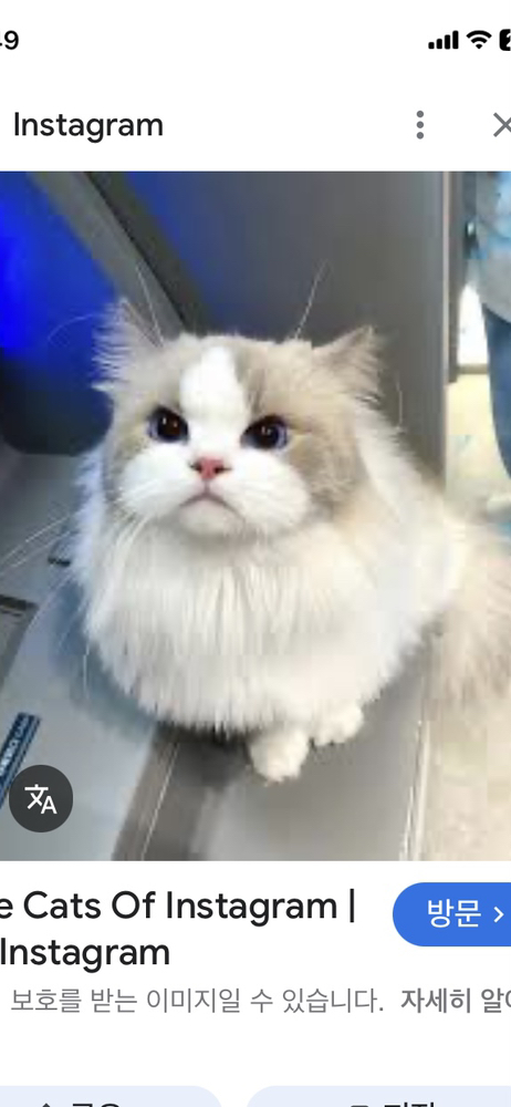 관심 유저 프로필 이미지