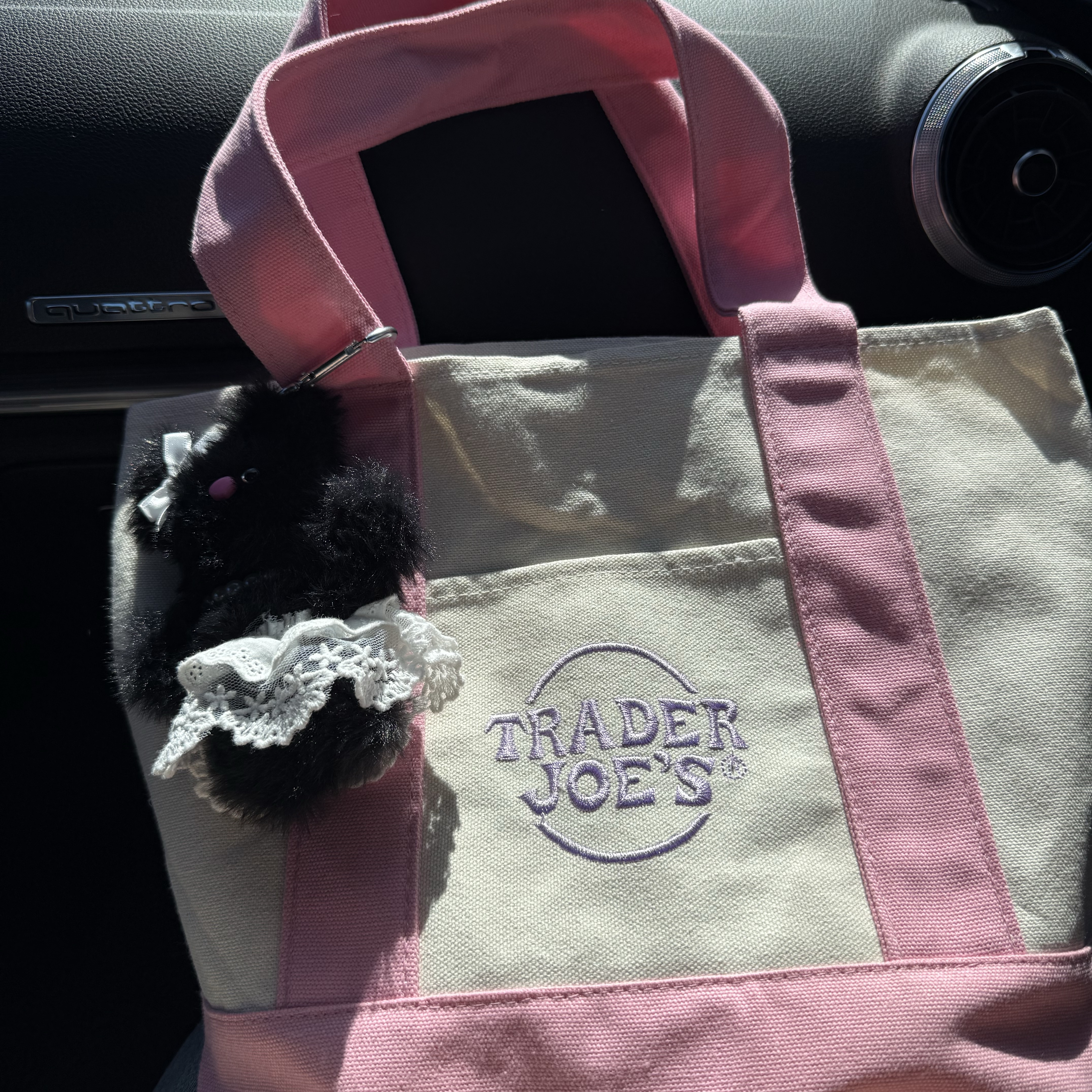 Trader Joe's Mini Pastel Canvas Tote Bag Pink 착용 스타일