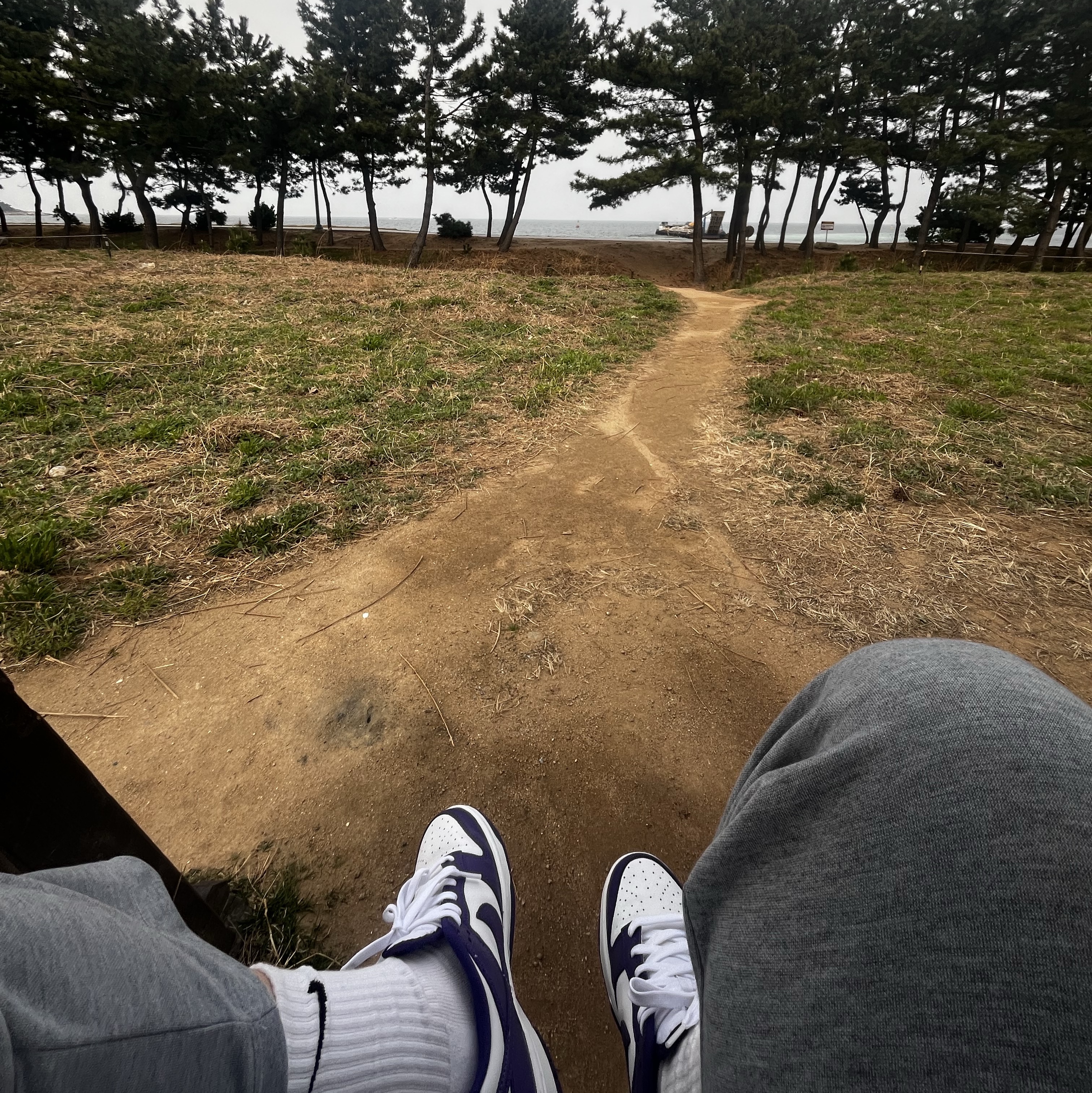 Nike Dunk Low Retro Championship Court Purple 착용 스타일