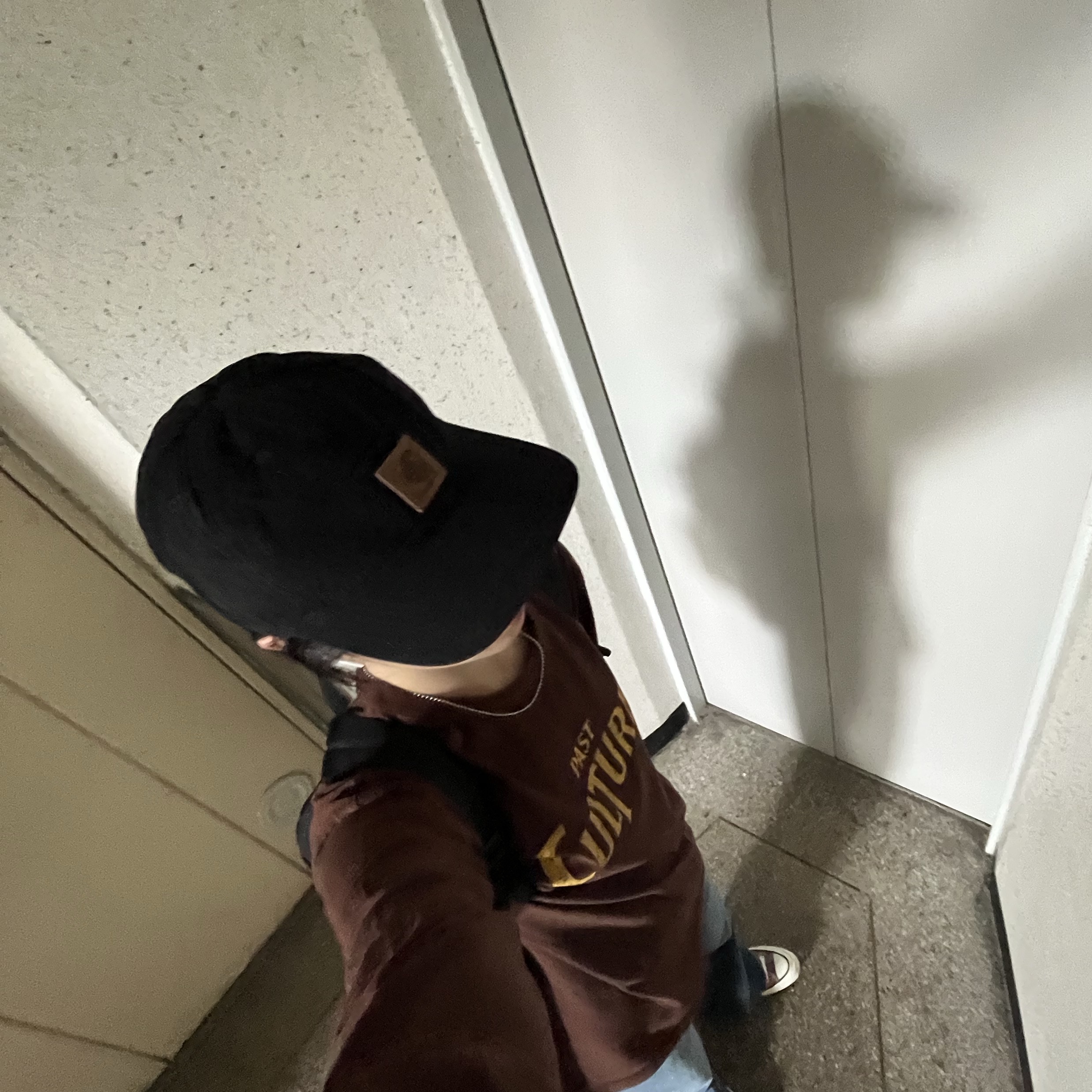 Carhartt Canvas Cap Black, ANNOT Tour VTG Long Sleeve Brown 착용 스타일