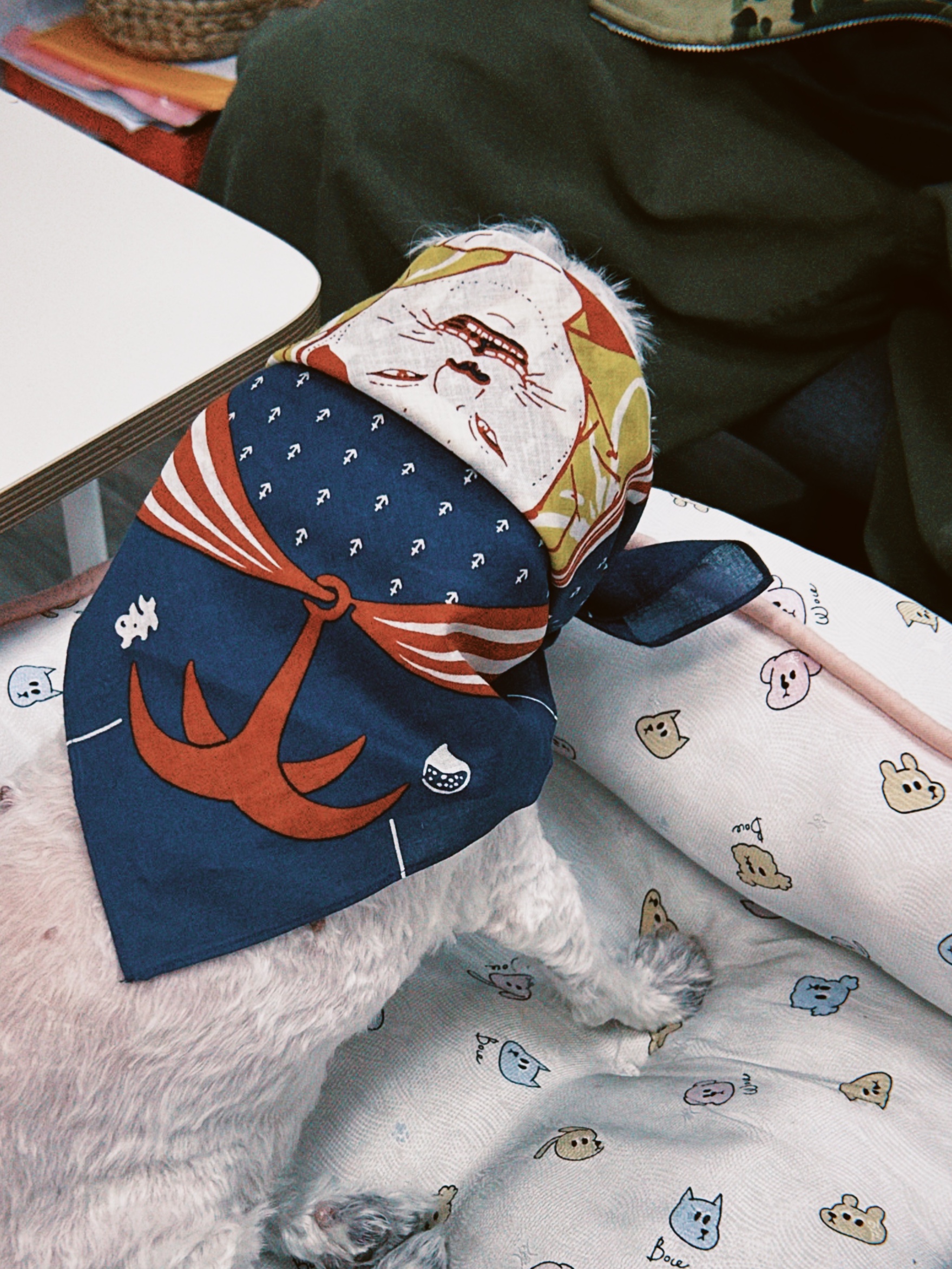Kapital Colored Bandana Angry Navy 착용 스타일 - 3