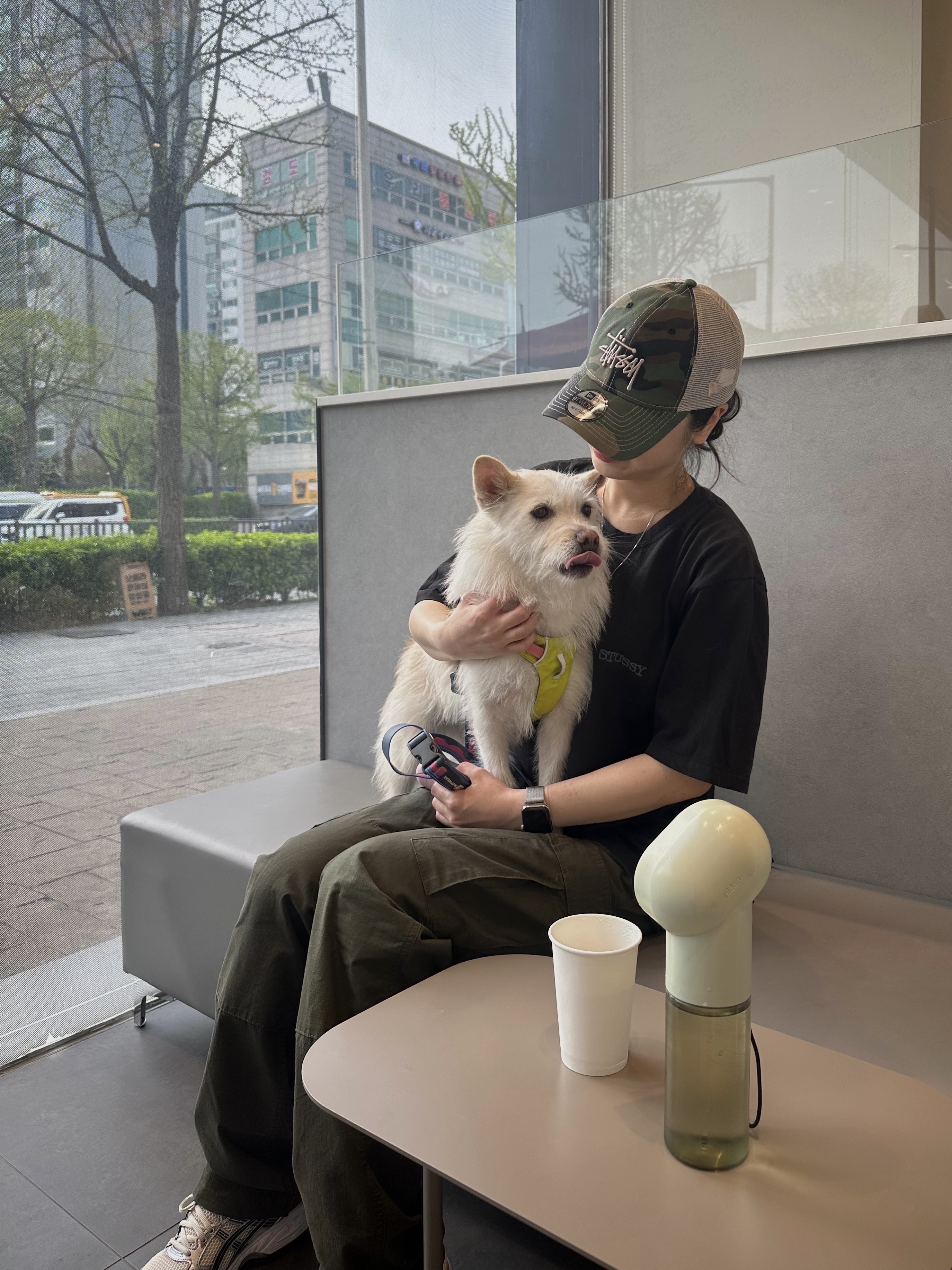 Asics Gel-Kayano 14 Birch Pure Silver, Stussy New Era 9twenty Basic Trucker Woodland Camo 착용 스타일