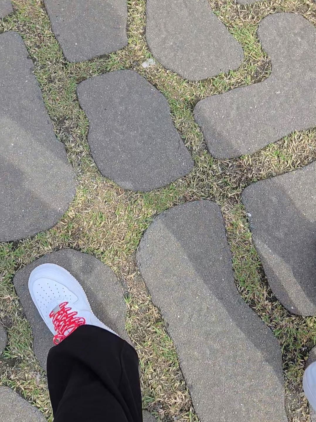 Nike x Supreme Air Force 1 Low White 착용 스타일