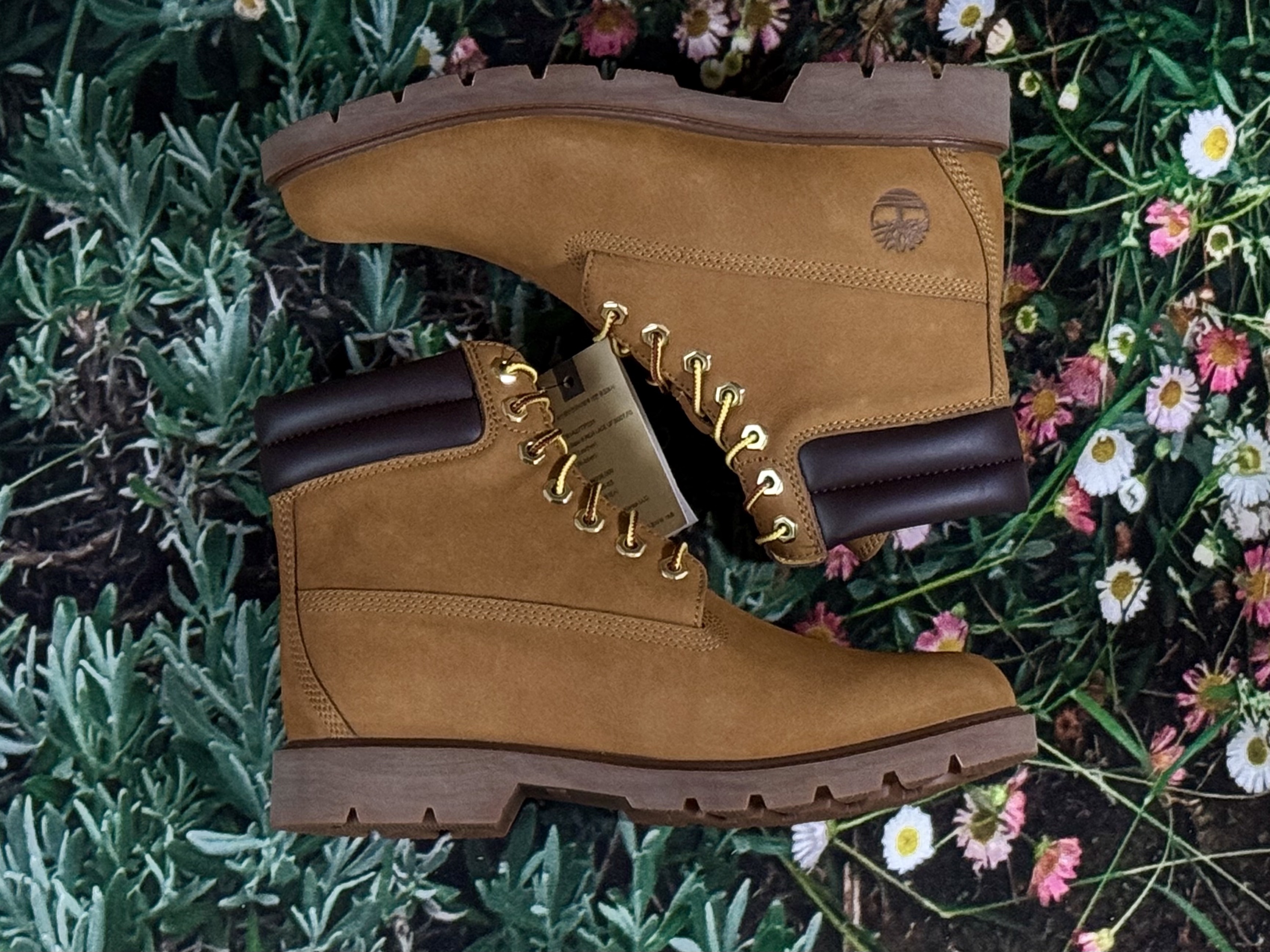 Timberland 6 Inch Laceup Basic Boots Wheat Brown - Wide 착용 스타일 - 1