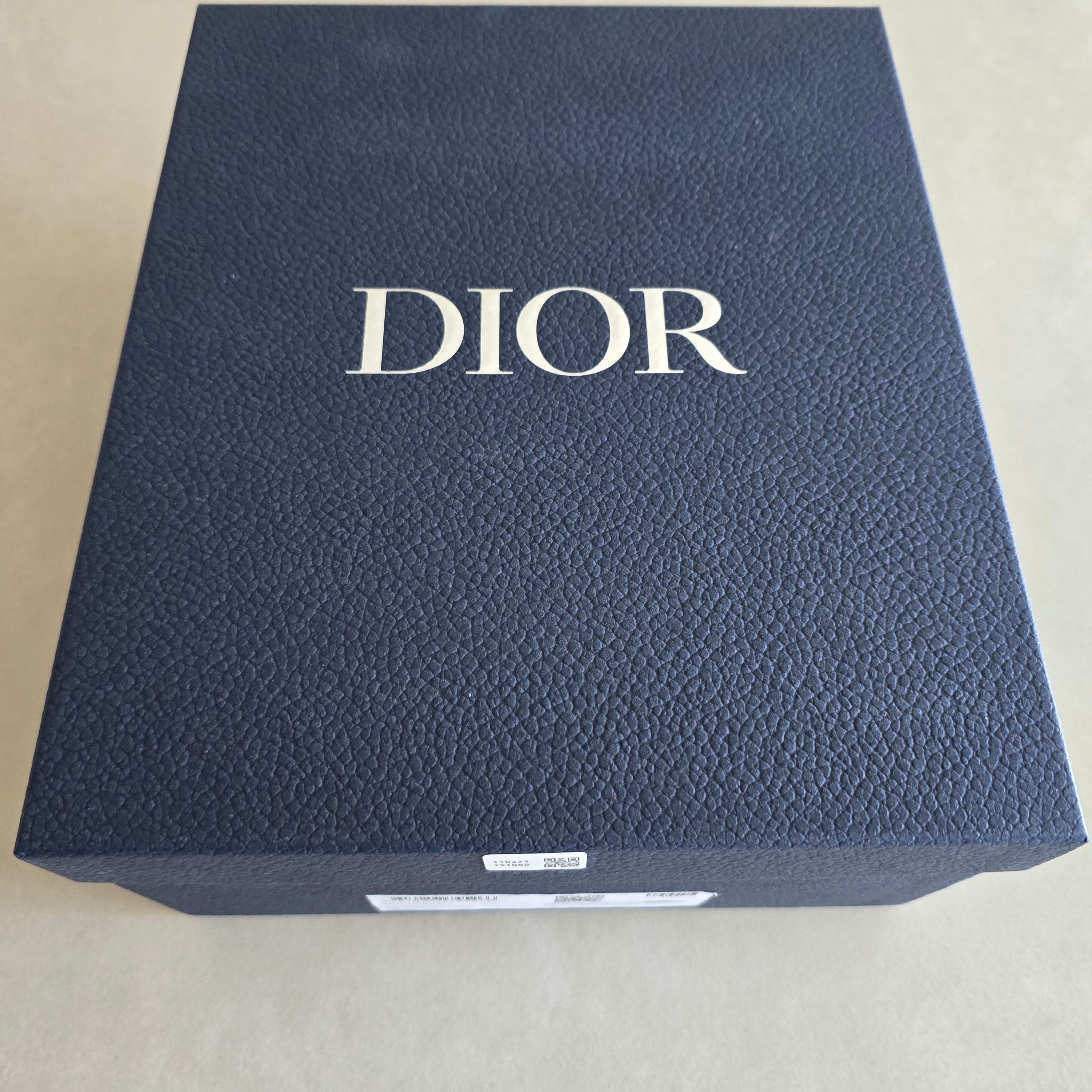 Dior B30 Sneakers Mesh Technical Fabric Grey 착용 스타일 - 3