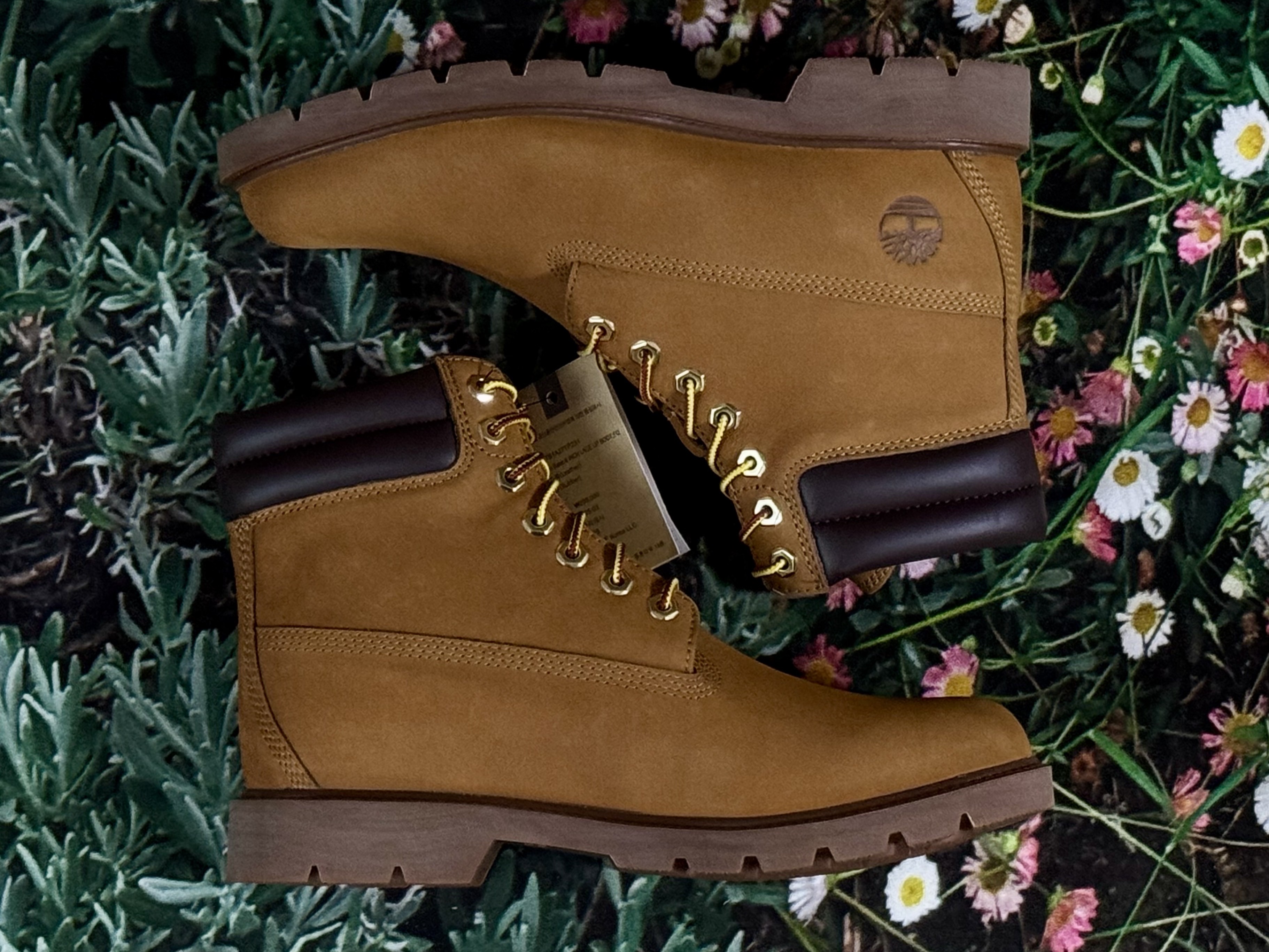 Timberland 6 Inch Laceup Basic Boots Wheat Brown - Wide 착용 스타일 - 6